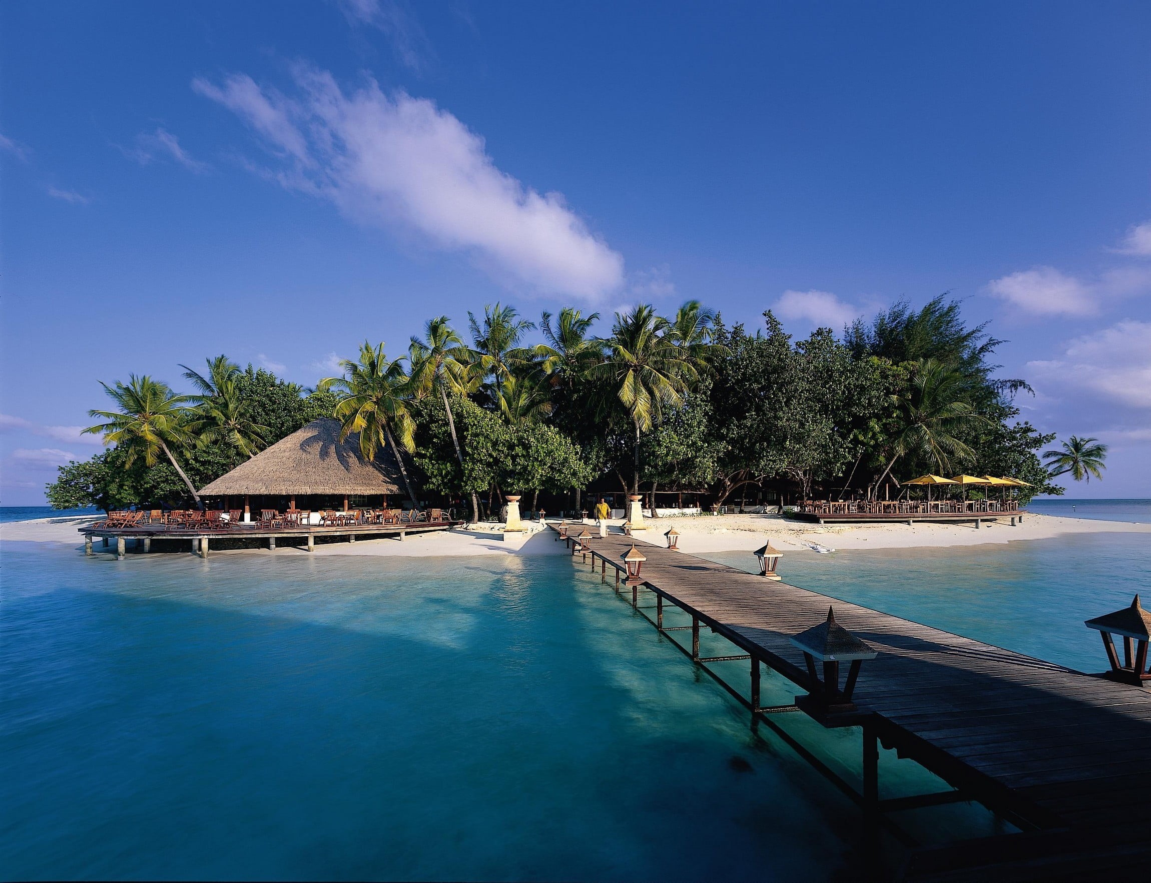 swimming pool, beauty in nature, tranquility, brown, tropical climate, walkway, water, sky, beach, nature, outdoors, luxury, palm trees, built structure, HD Wallpaper
