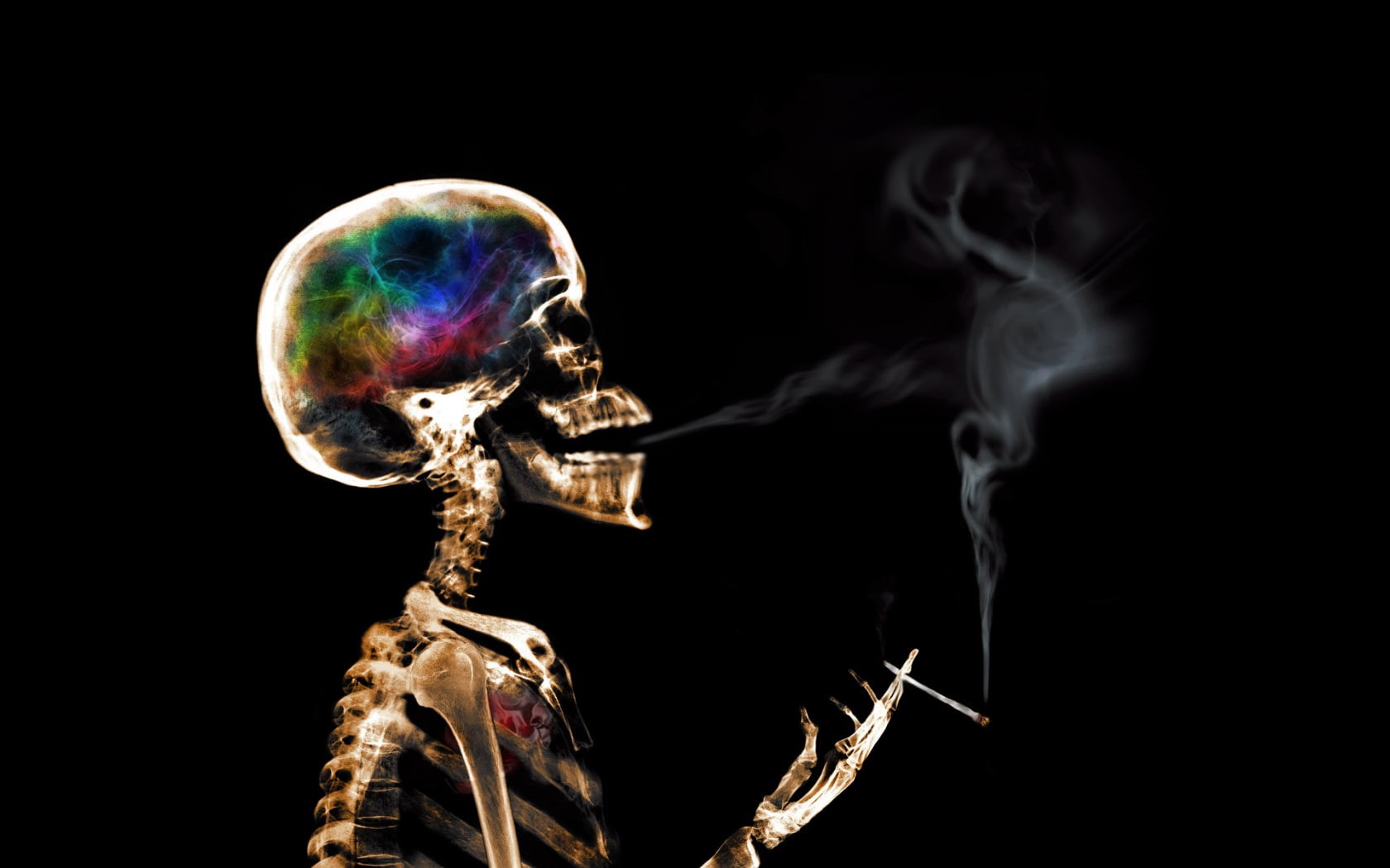 vulnerability, fragility, reflection, science, skeleton, technology, studio shot, indoors, skull, bizarre, light bulb, bone, single object, smoking, artwork, HD Wallpaper