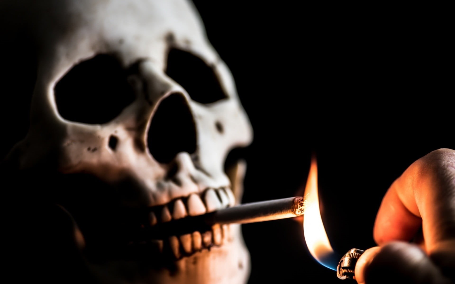 close-up, indoors, fire, white, social issues, smoking, hand, black background, studio shot, death, body part, flame, people, bone, human skull, human body part, HD Wallpaper