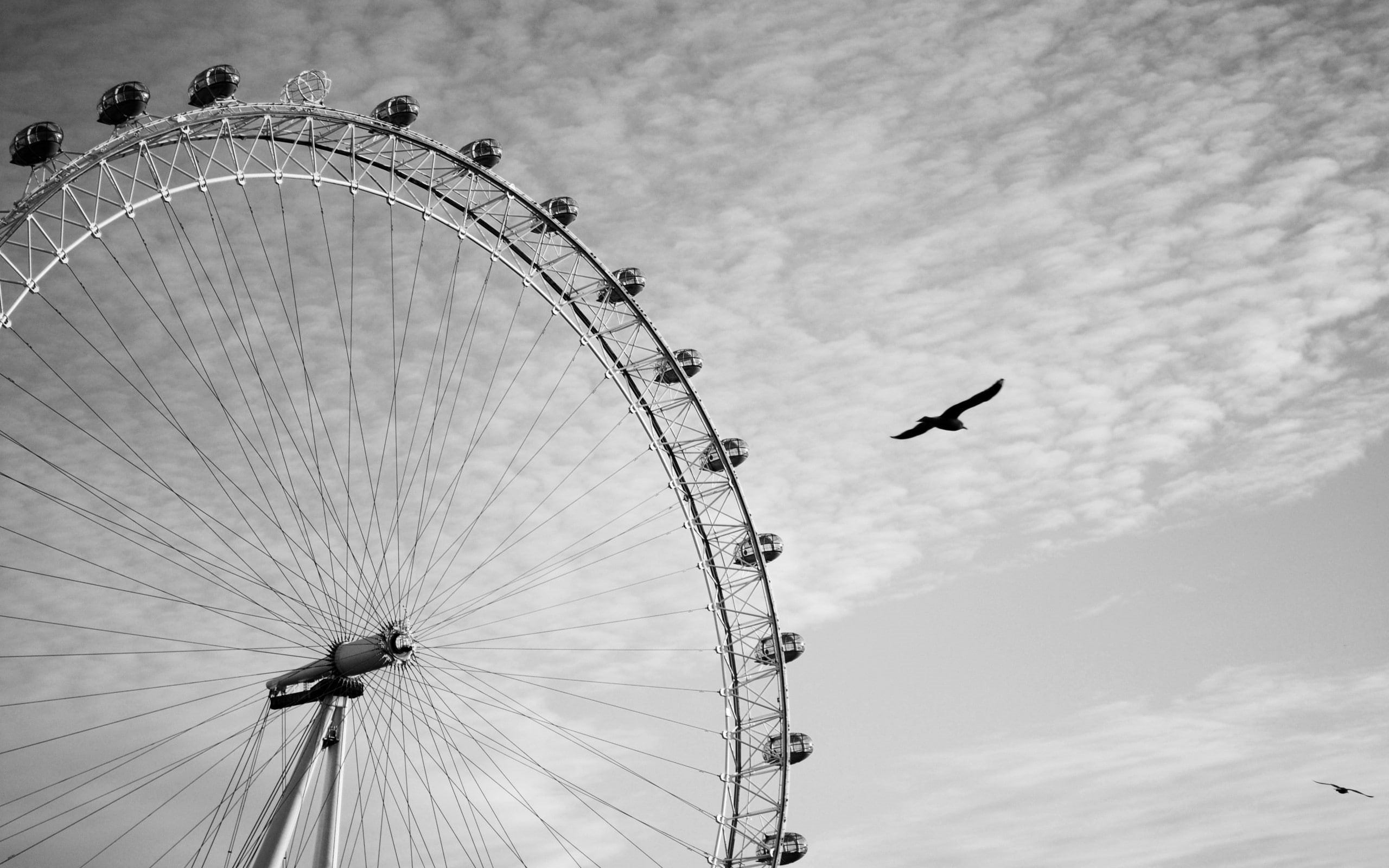 ferris wheel, London Eye, sky, photography, day, nature, amusement park, cloud - sky, animal, flying, London, fairground, travel destinations, wheels, animal themes, HD Wallpaper