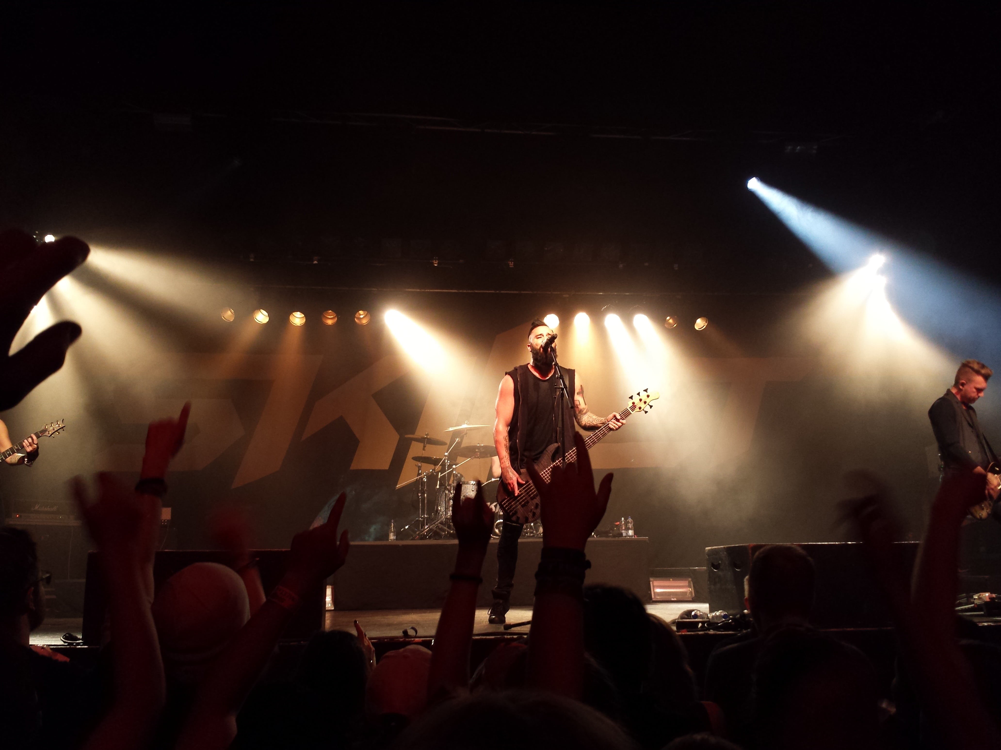 group of people, artist, plucking an instrument, skill, live event, tour, event, stage, excitement, panhead, black, john, rock music, cooper, according to, HD Wallpaper