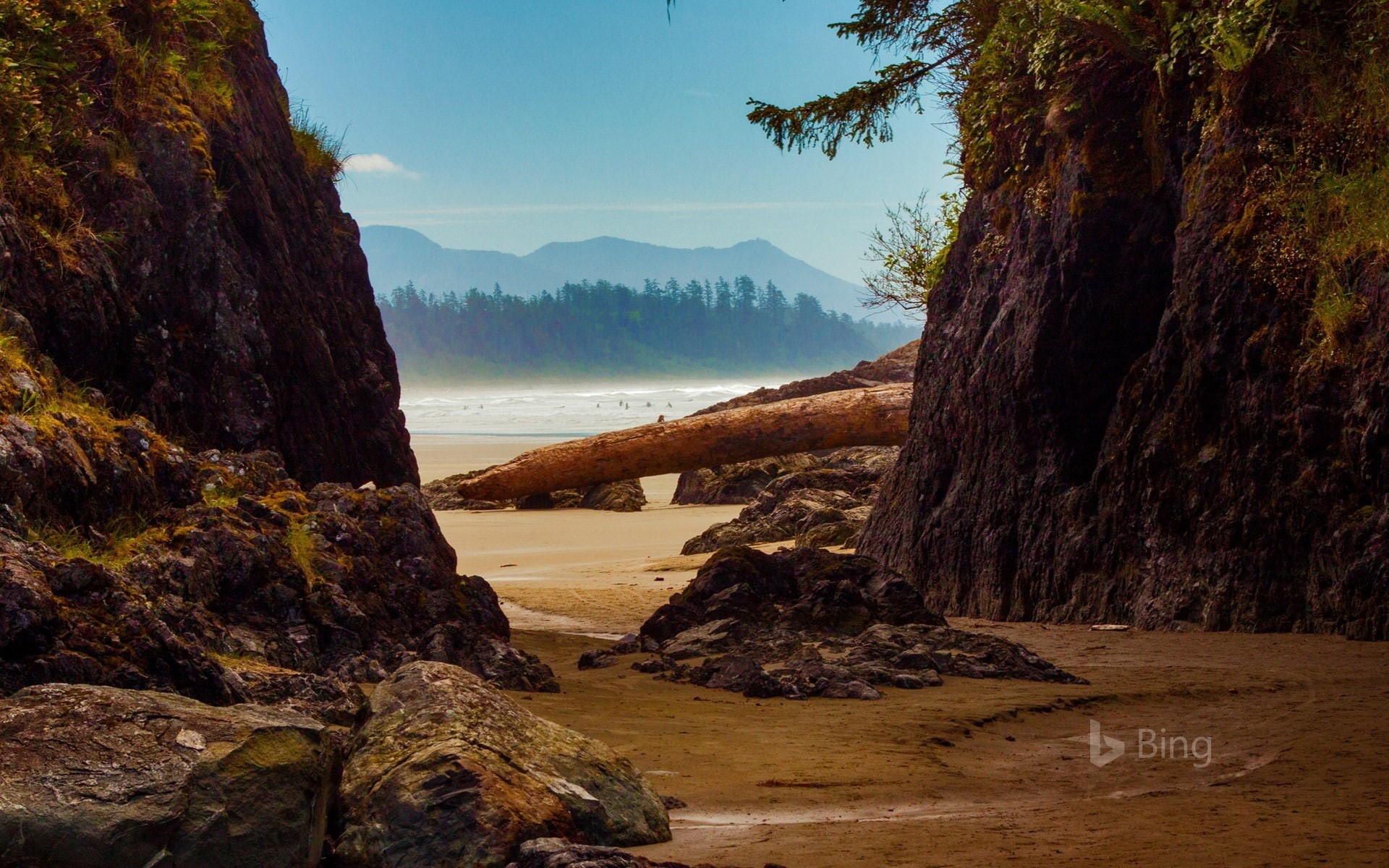 nature, solid, beauty in nature, near, beach, no people, scenics - nature, tofino, 1080P, canada, outdoors, rock formation, tranquility, sky, plant, mountain, HD Wallpaper