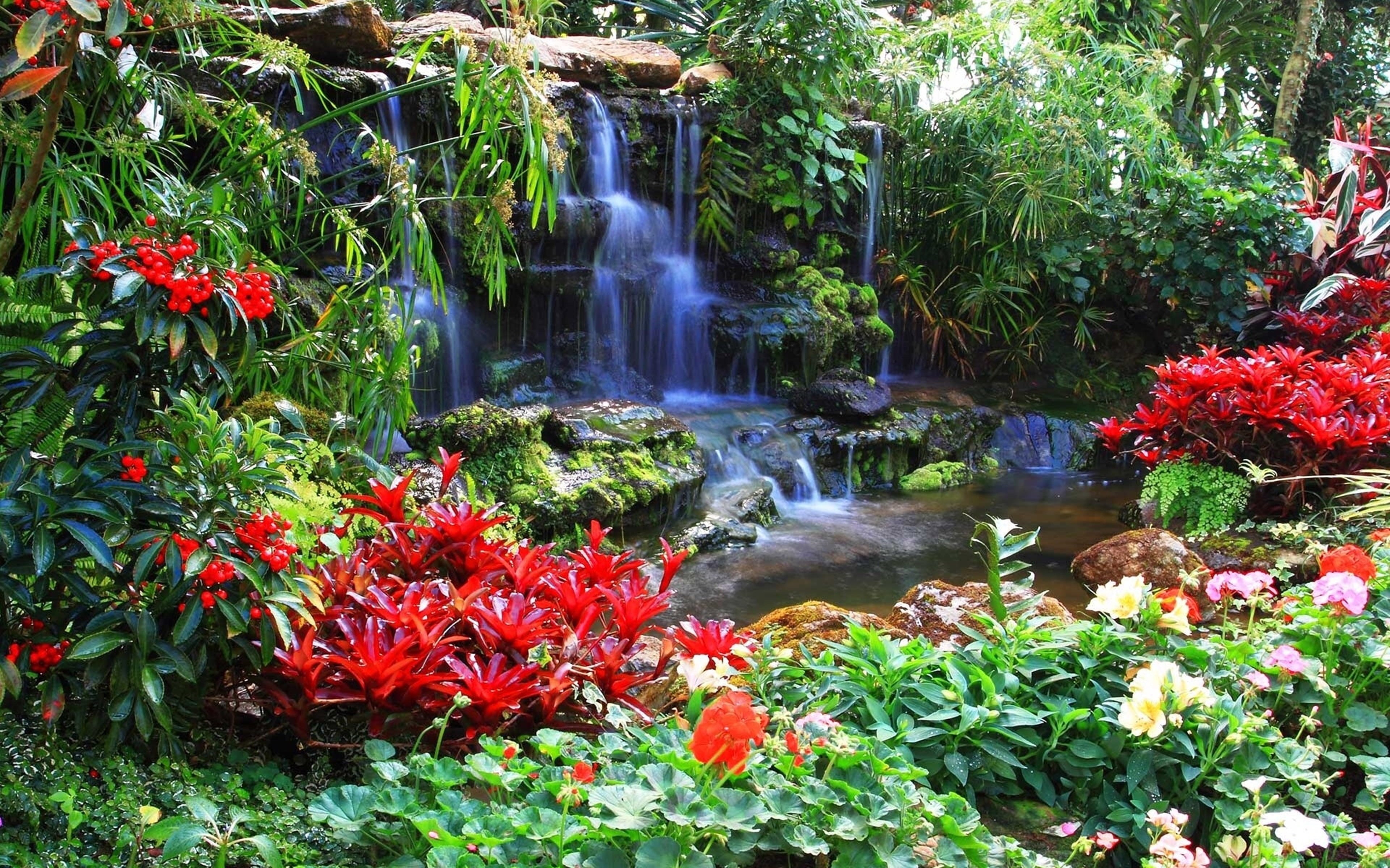 green color, tree, flowing, budget, waterfall, variety, flowing water, gardens, rocks, flowering plant, hd, 4K, outdoors, vancouver, water, growth, ornamental, HD Wallpaper