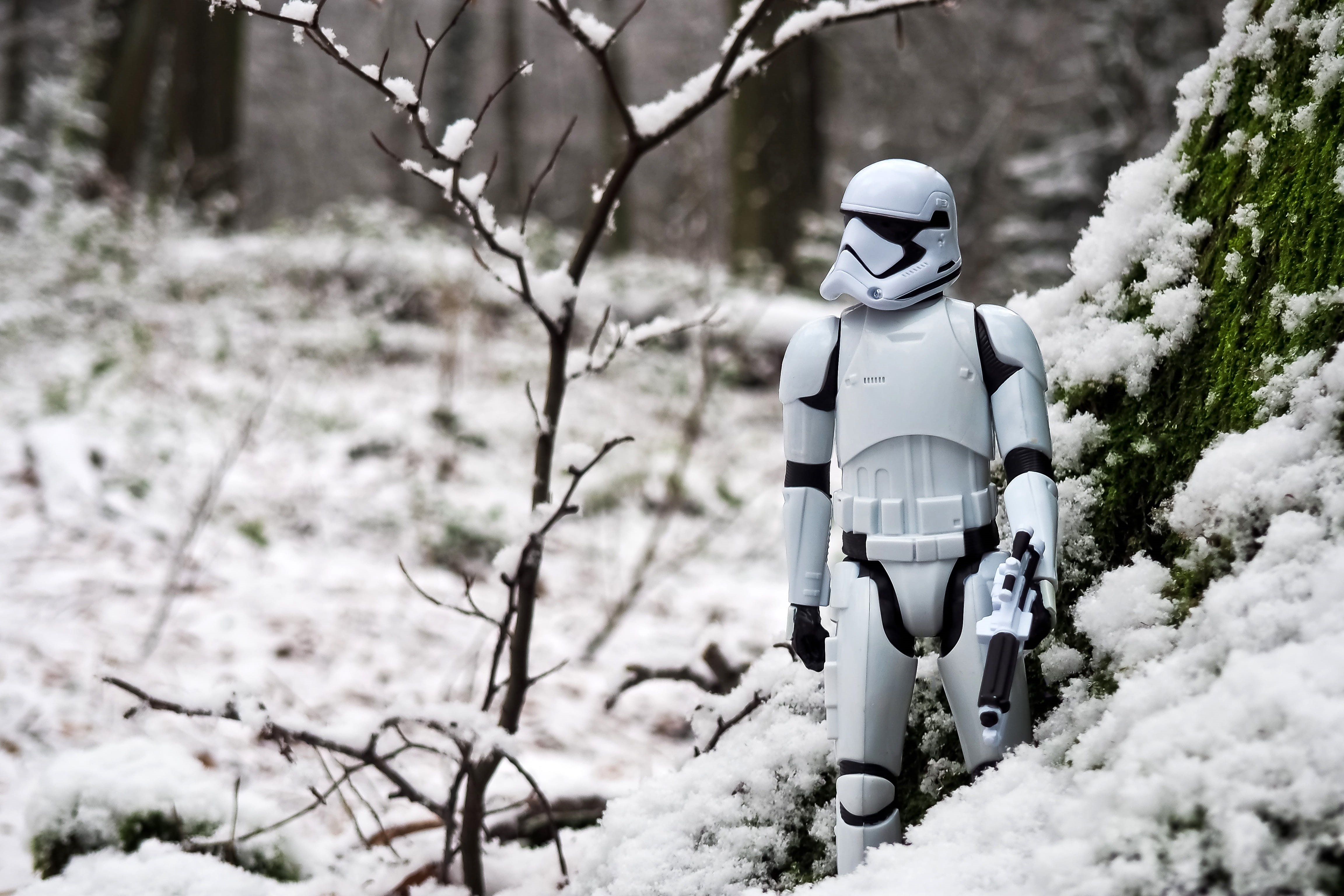 plant, winter, field, armor, 4K, play, star wars, helm, soldier, clothing, snow, nature, funny, film, branch, fun, science fiction, land, toys, outdoors, HD Wallpaper