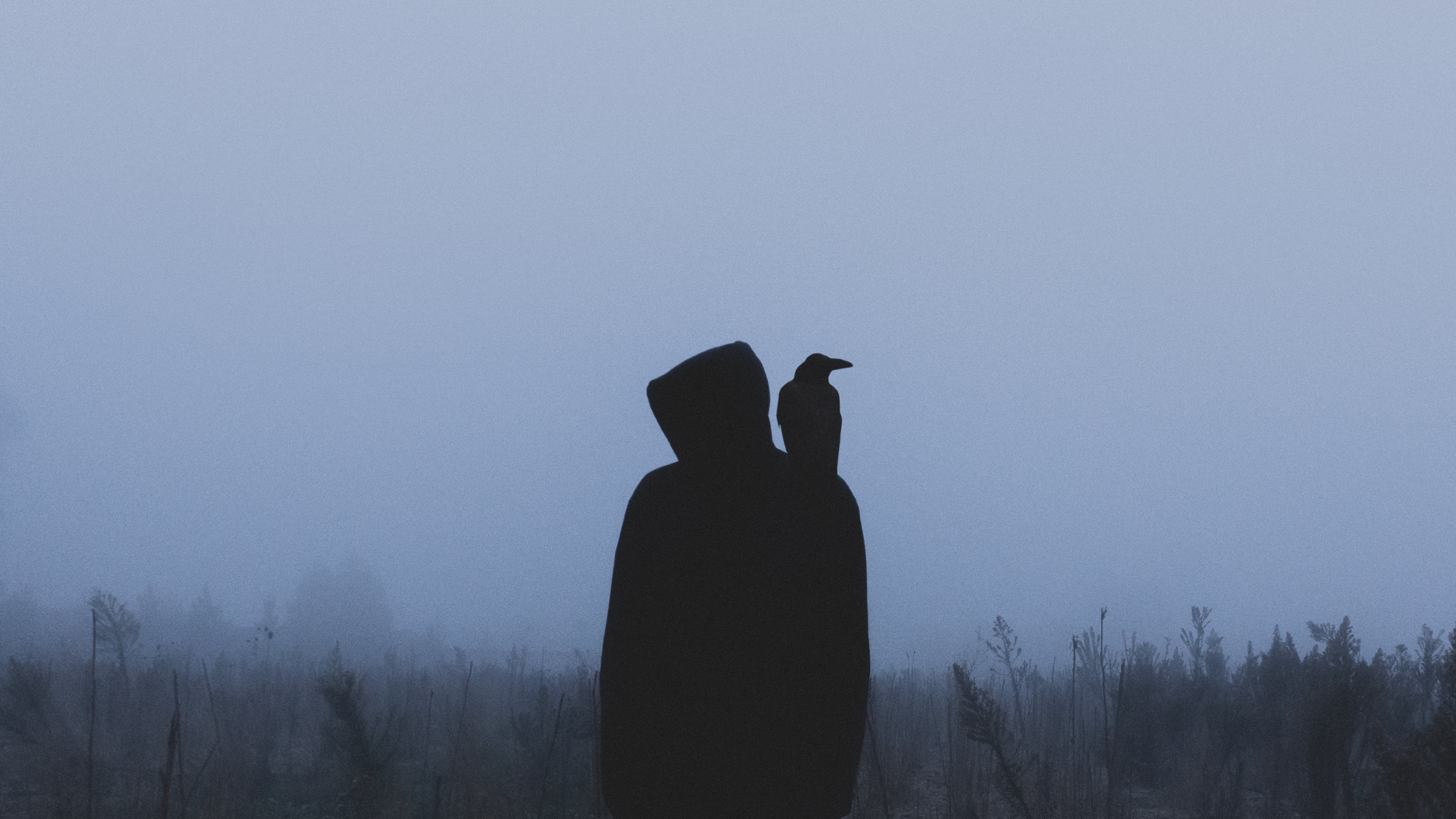 clothing, 5K, crow, hood, contemplation, real people, waist up, fog, hunter, hat, lifestyles, copy space, sky, loneliness, standing, men, nature, land, HD Wallpaper