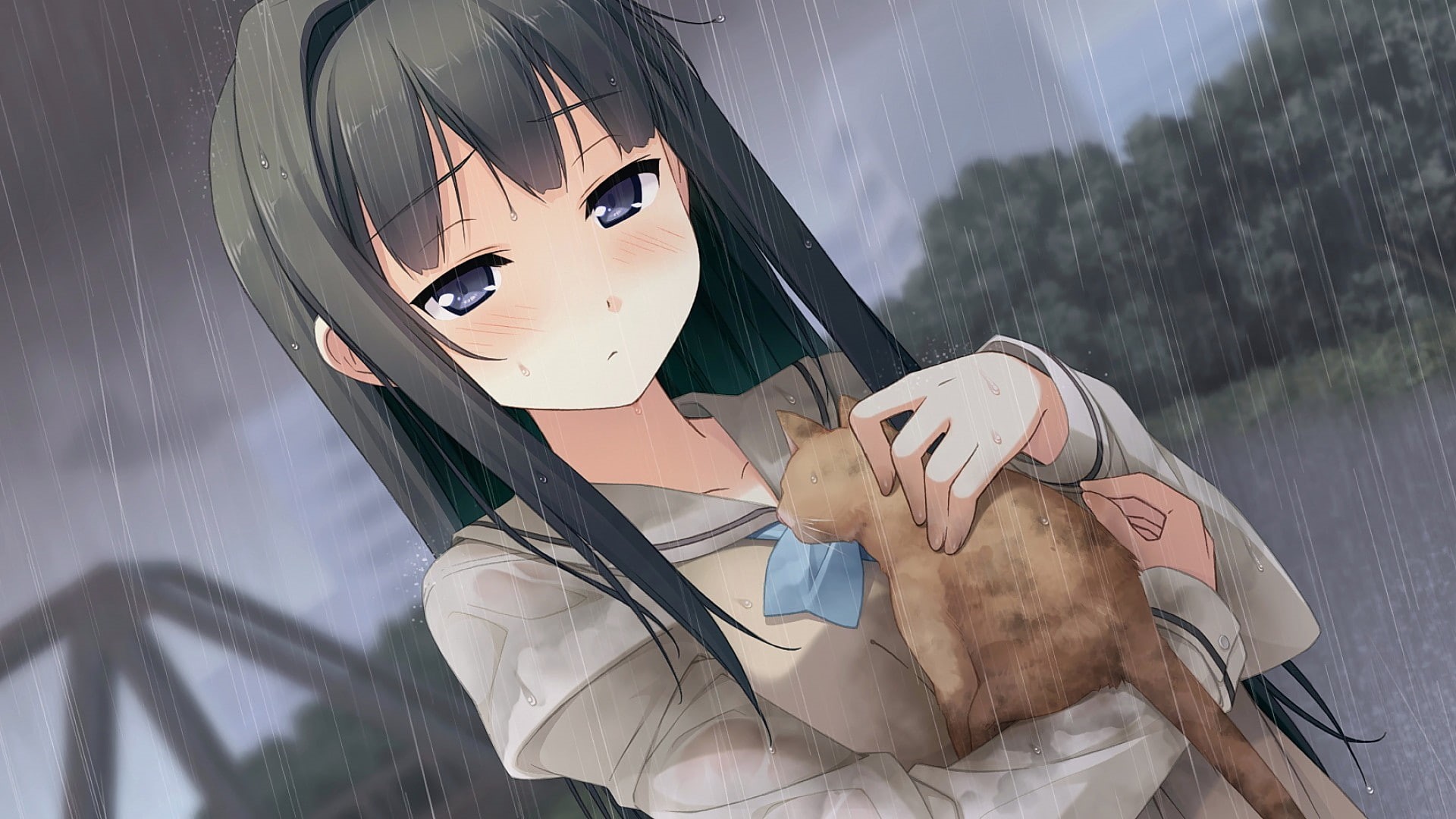 brunette, sadness, cat, rain, forest, water, anime girls, 1080P, anime, long hair, HD Wallpaper