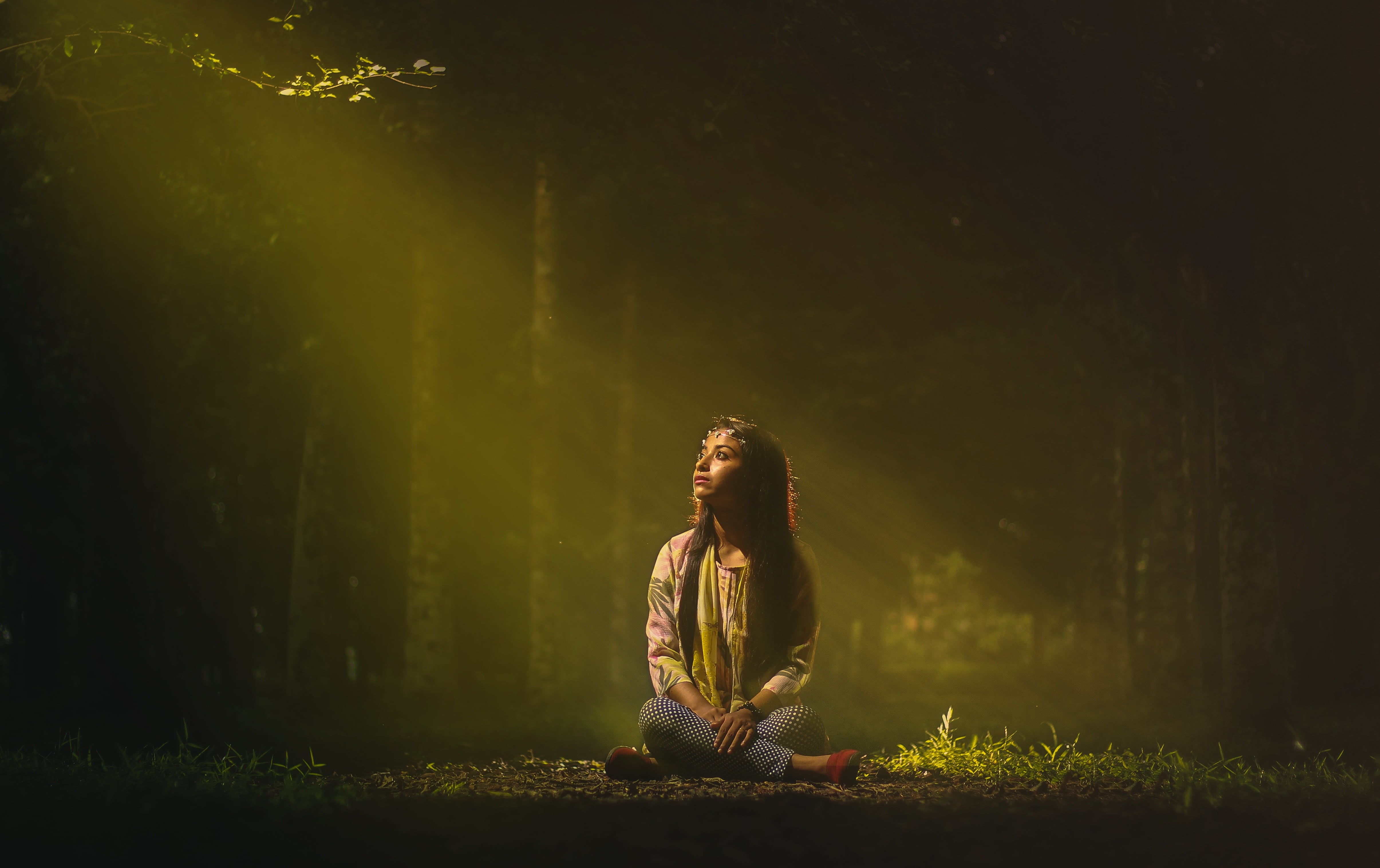 real people, bottoms, land, top, ground, long hair, tree, sitting, one woman only, plant, dark, casual clothing, gray, young women, full length, golden, HD Wallpaper