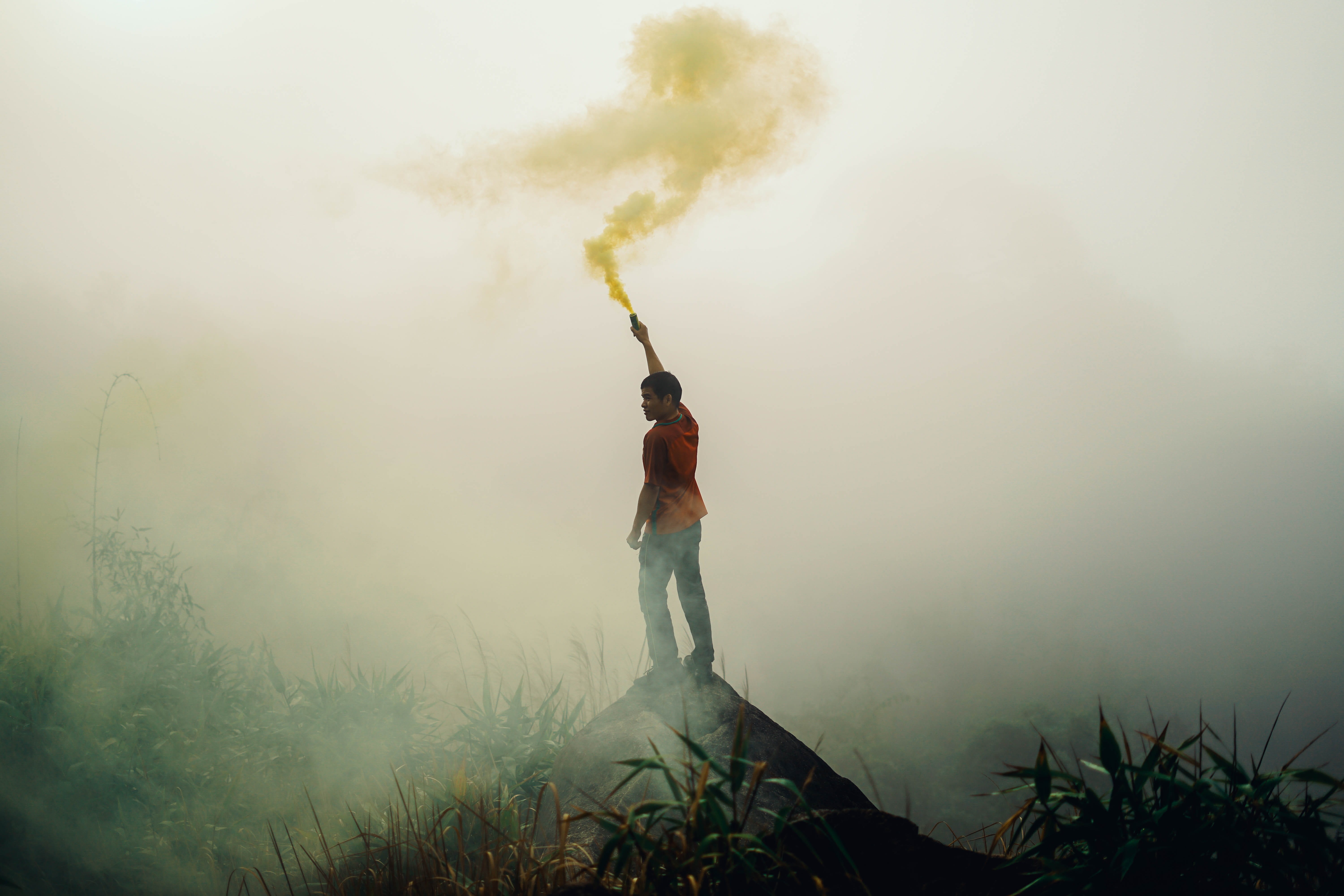 land, fogs, men, plant, outdoors, smoke - physical structure, air pollution, full length, 5K, standing, pollution, one person, factory, hold, person, nature, HD Wallpaper