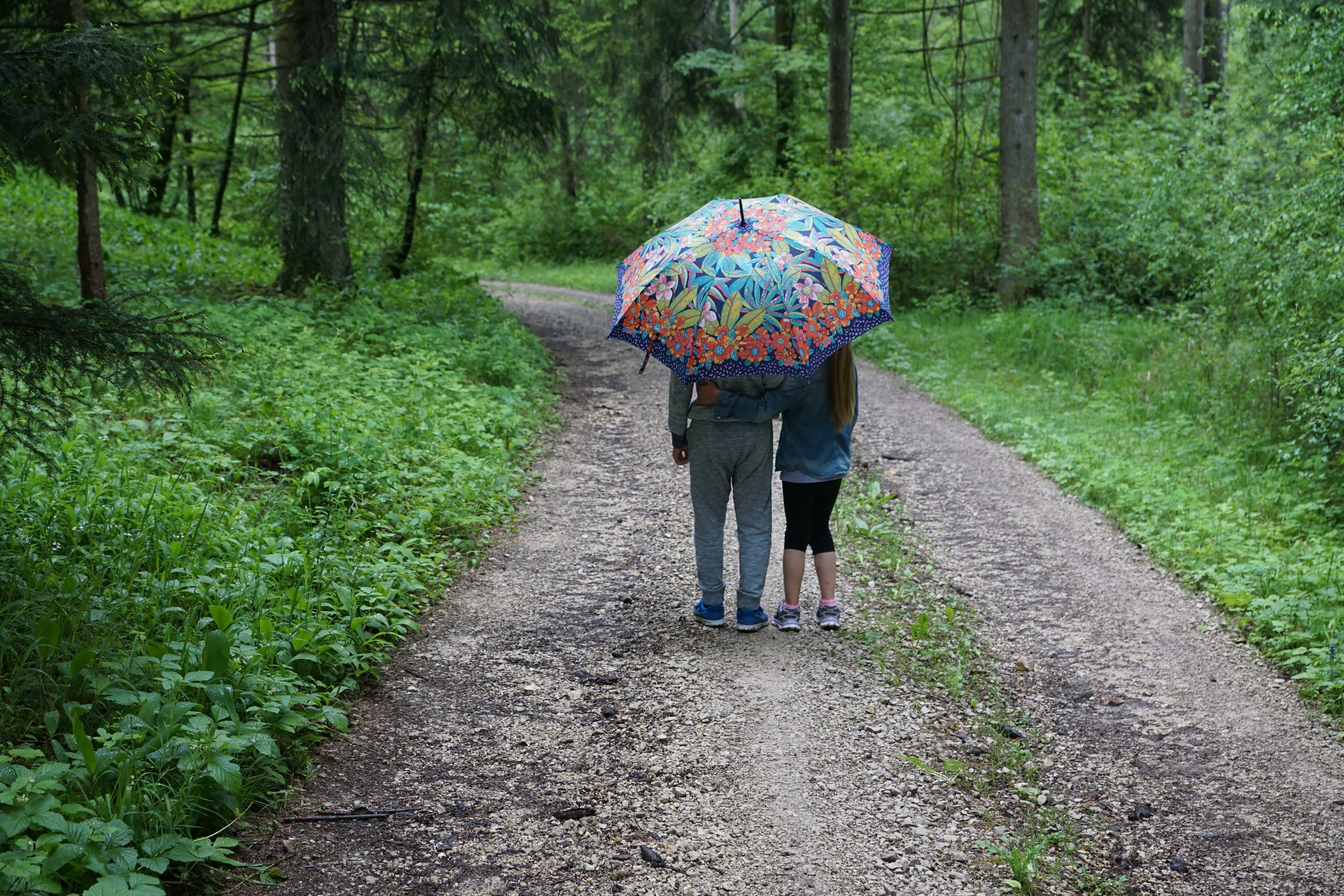 brothers and sisters, friends, road holding, umbrella, green color, holding, adult, adults only, weather, direction, green, road, real people, girlfriend, HD Wallpaper