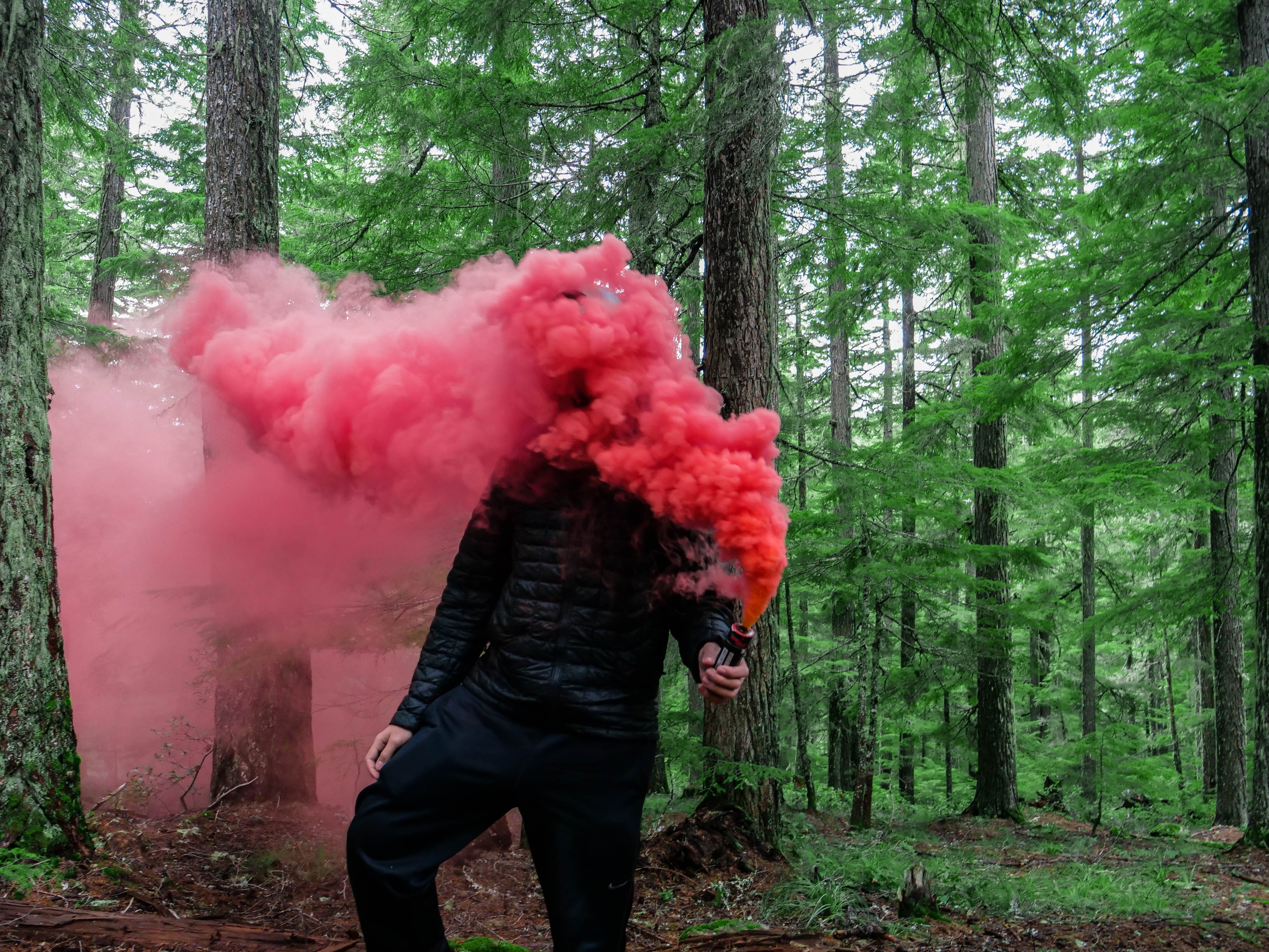 forest, man, 5K, blowing, cloud, color, outdoors, growth, leisure activity, nature, lifestyles, standing, land, red, tree trunk, woodland, three quarter length, HD Wallpaper