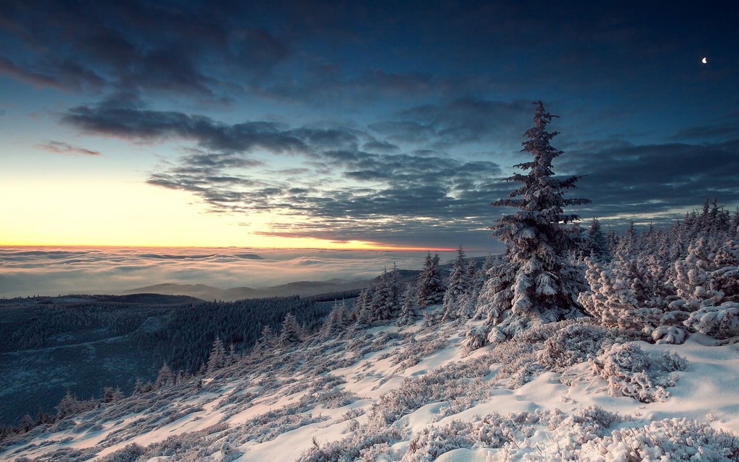 cloud - sky, snow, valley, no people, plant, clouds, trees, scenics - nature, pine woodland, beauty in nature, hills, winter, tree, Moon, pine, mountain, HD Wallpaper