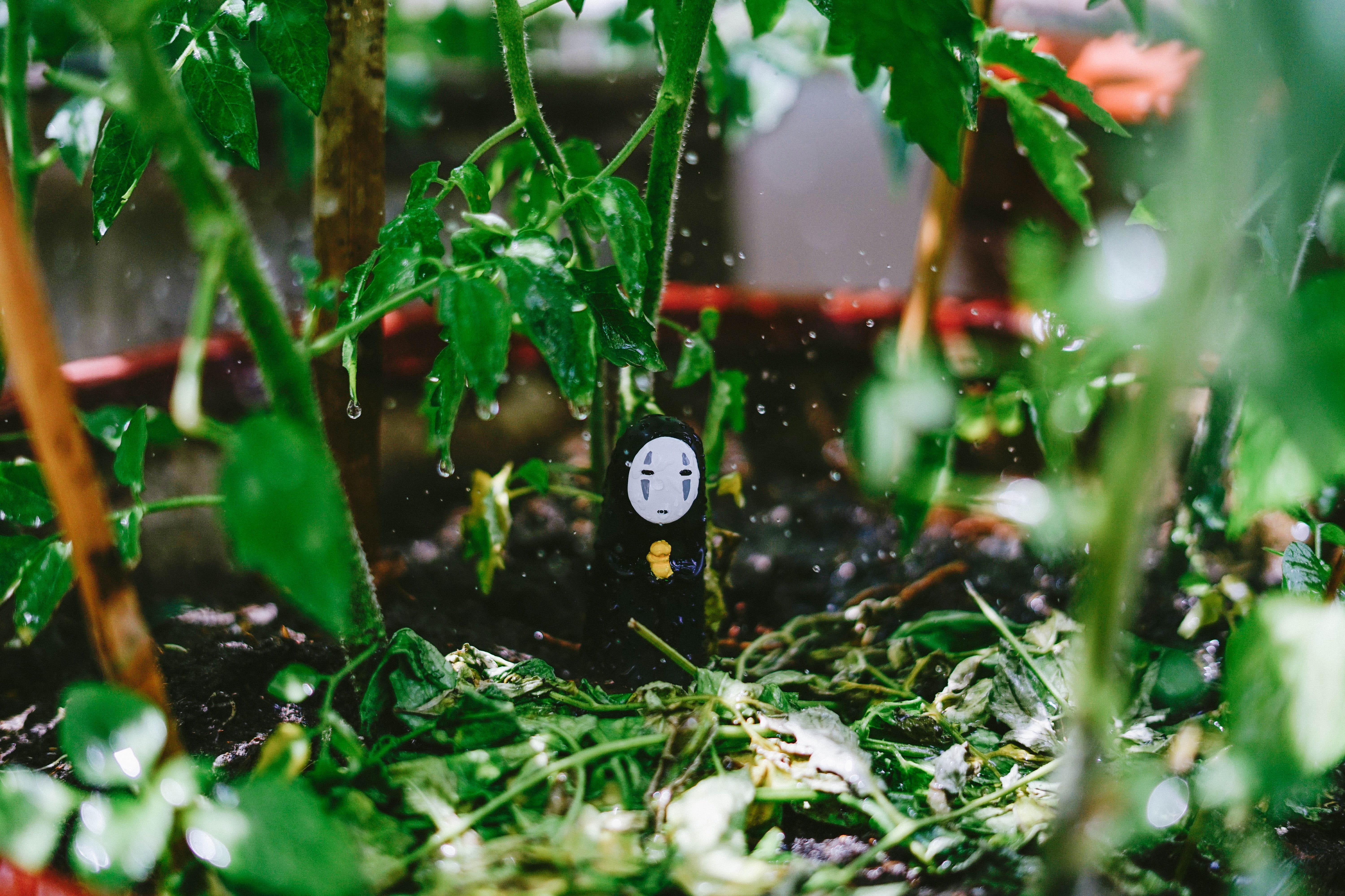 figure, time, water, clock face, faceless, photography, growth, clock hand, plant, wet, green color, no people, toy, 5K, hour hand, clock, drop, instrument of time, HD Wallpaper