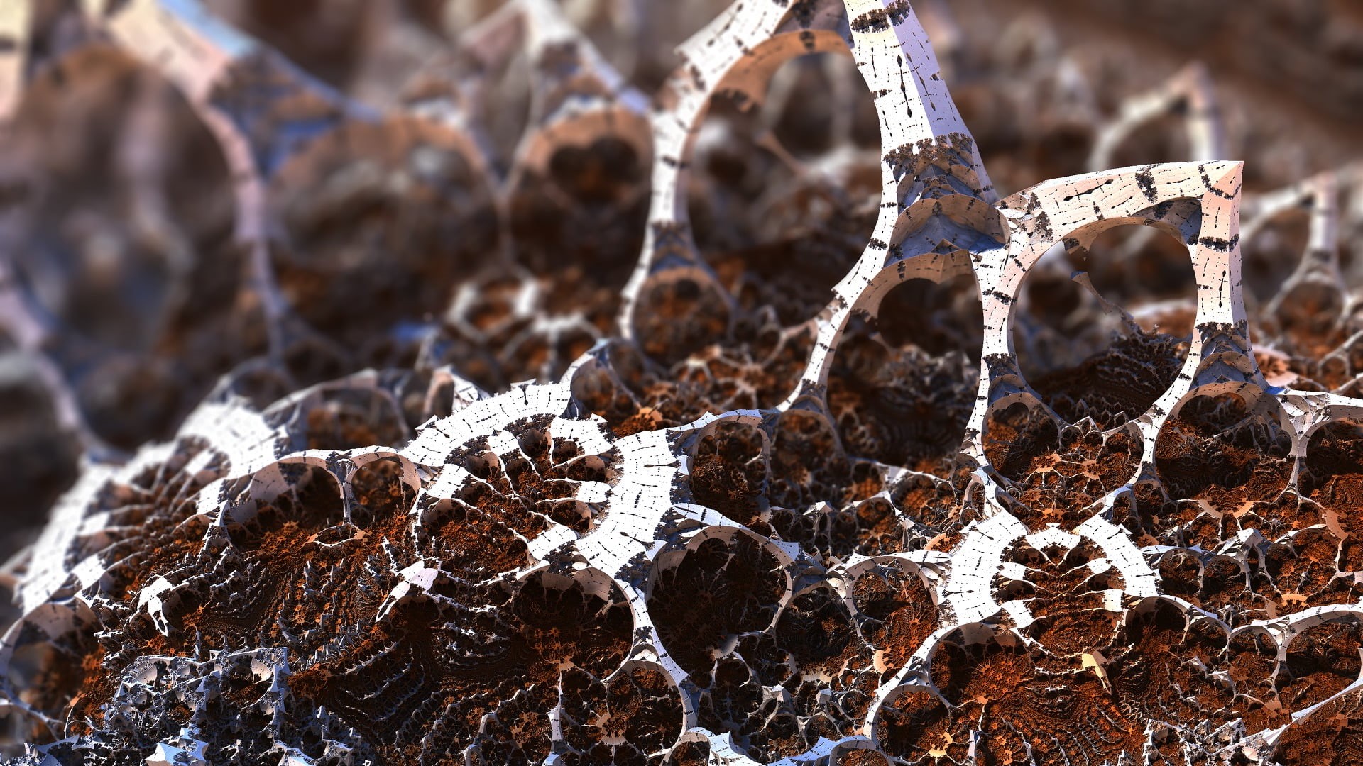beauty in nature, frozen, day, leaf, ice, backgrounds, food, brown, abstract, close-up, 1080P, frost, white, no people, plant part, snow, dry, cold temperature, HD Wallpaper