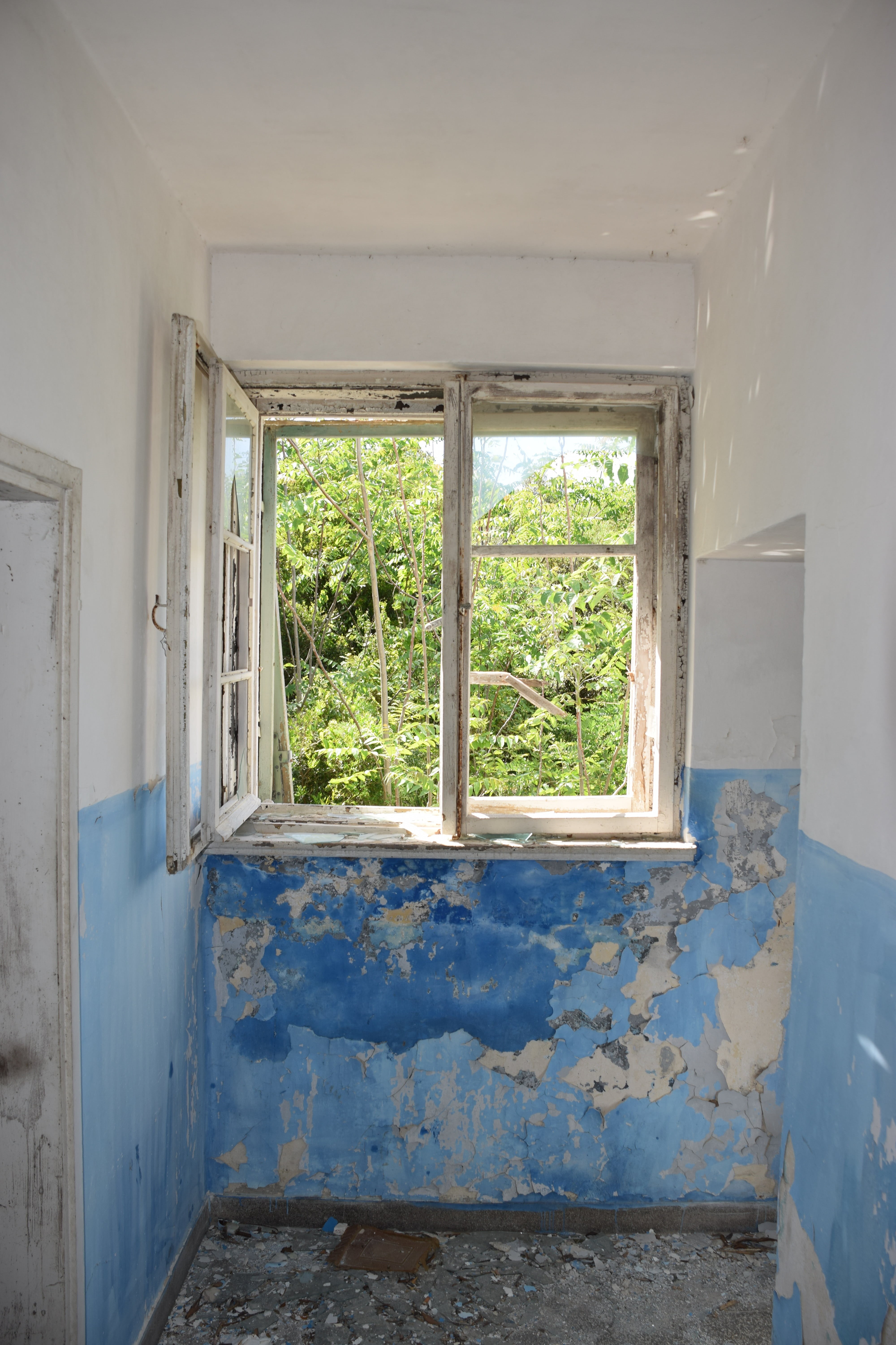 wall - building feature, old, obsolete, decline, building, wall, run-down, house, plant, built structure, day, broken, dirty, window, ceiling, construction, Phone HD Wallpaper