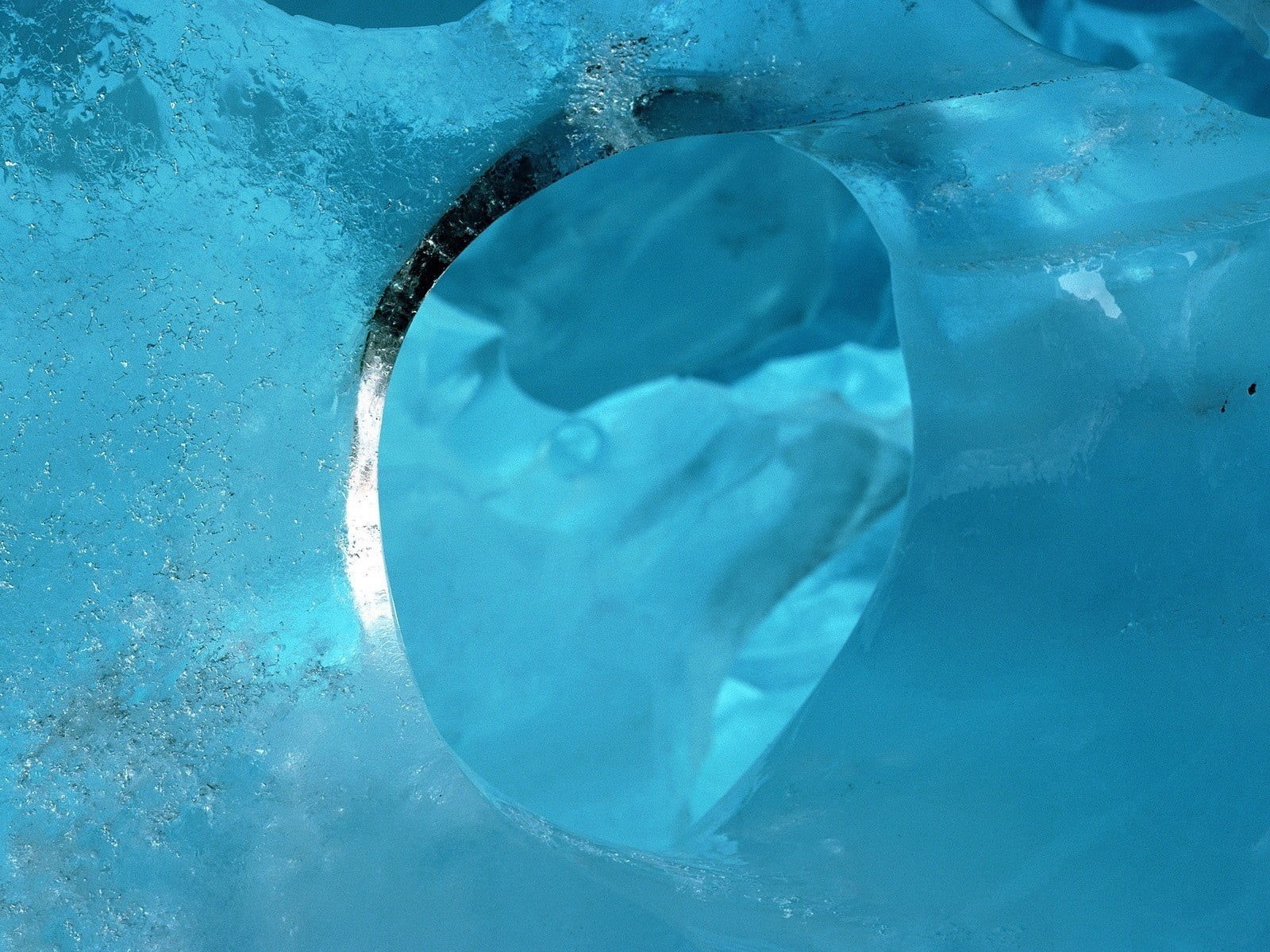 no People, oblong, water, ice, white, turquoise colored, close-up, 720P, ice Crystal, blue, abstract, frost, underwater, vertebrate, animal, drop, animal themes, HD Wallpaper