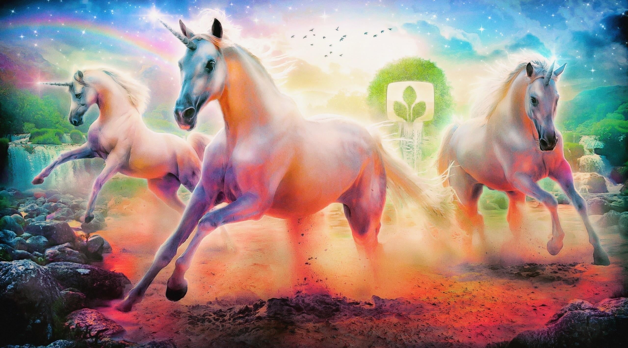 night, rainbow, motion, animal, dust, horses, pink color, rocks, outdoors, animals in the wild, horse, emblem, group of animals, blurred motion, swimming, HD Wallpaper