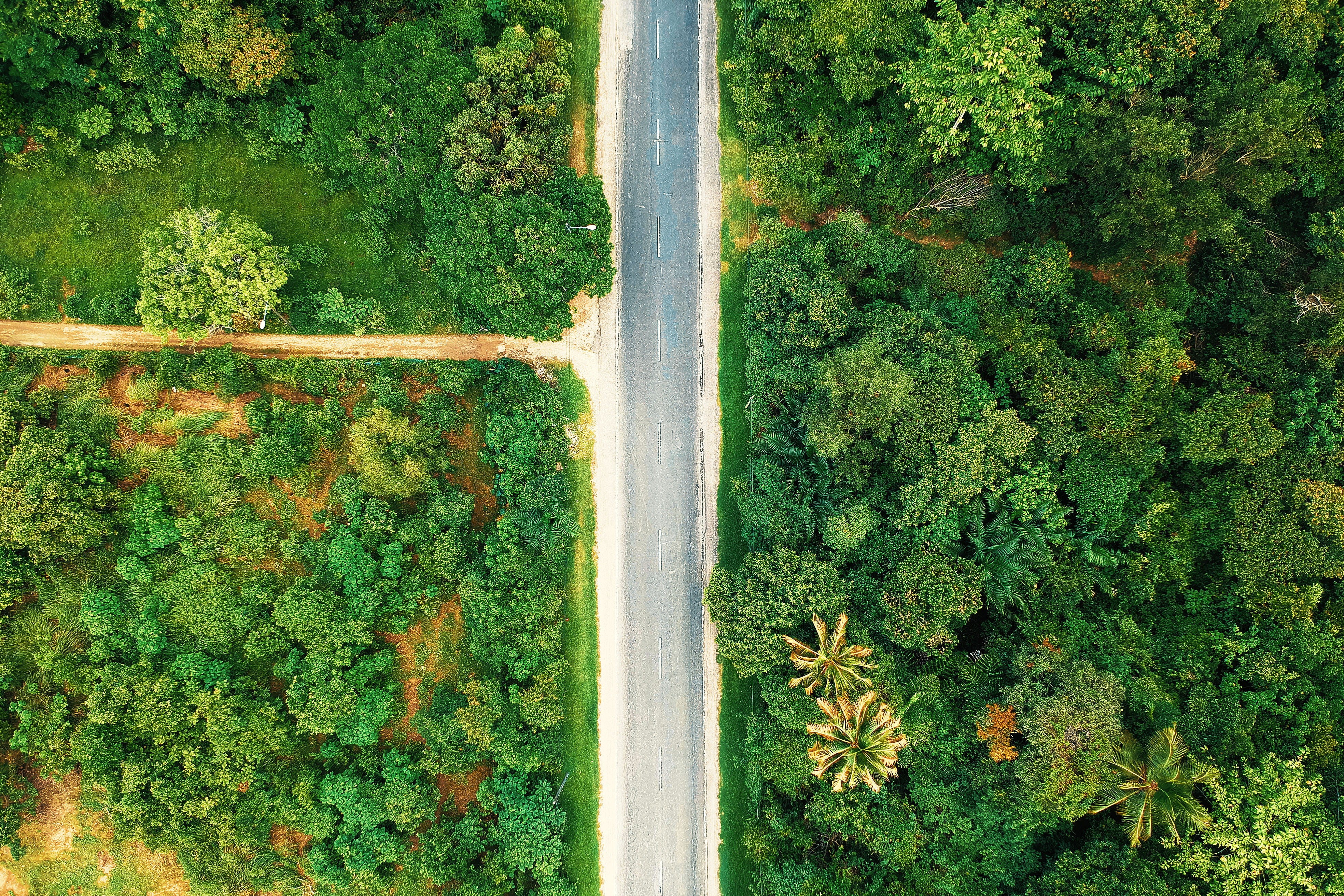birds eye view, s, tranquility, high angle view, eye, color, scenics - nature, photography, water, plant, day, foliage, trees, aerial shot, green, 4K, HD Wallpaper