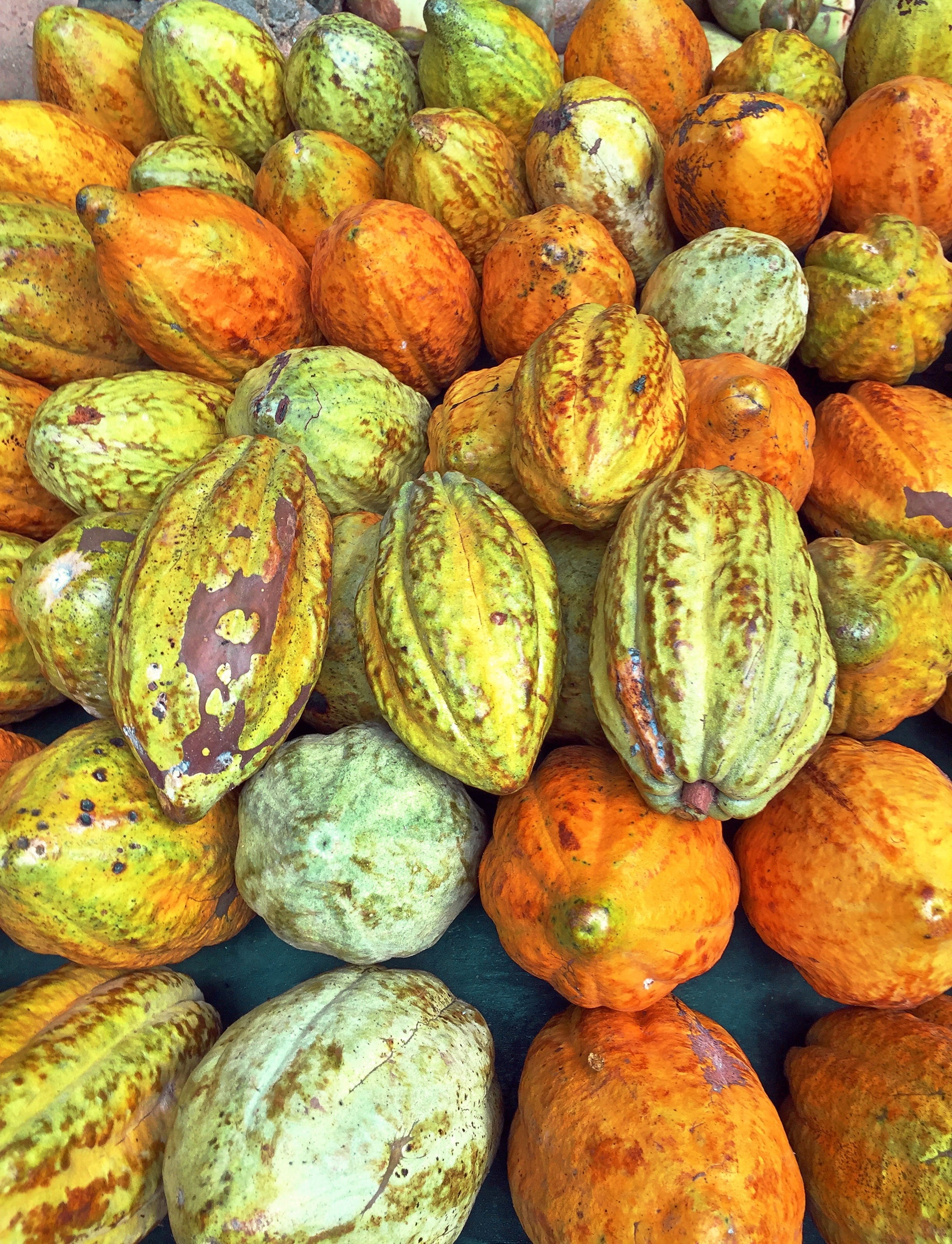 freshness, pumpkin, market stall, backgrounds, wellbeing, mat, sale, high angle view, food, vegetable, retail display, market, full frame, ripe, 2K, retail, Phone HD Wallpaper