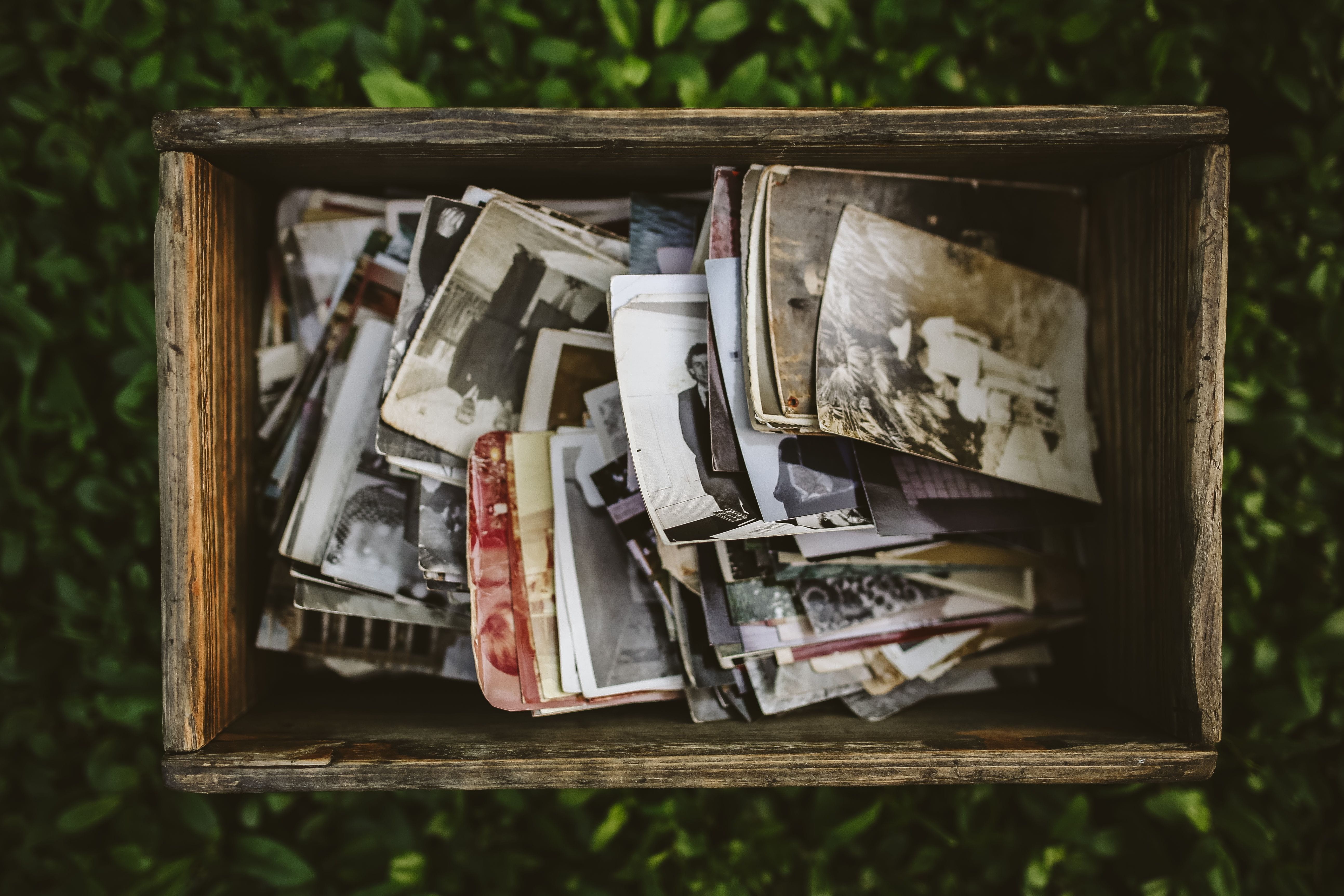 currency, vintage, abandoned, large group of objects, table, no people, close-up, container, photos, wood - material, nature, 5K, paper Currency, outdoors, HD Wallpaper