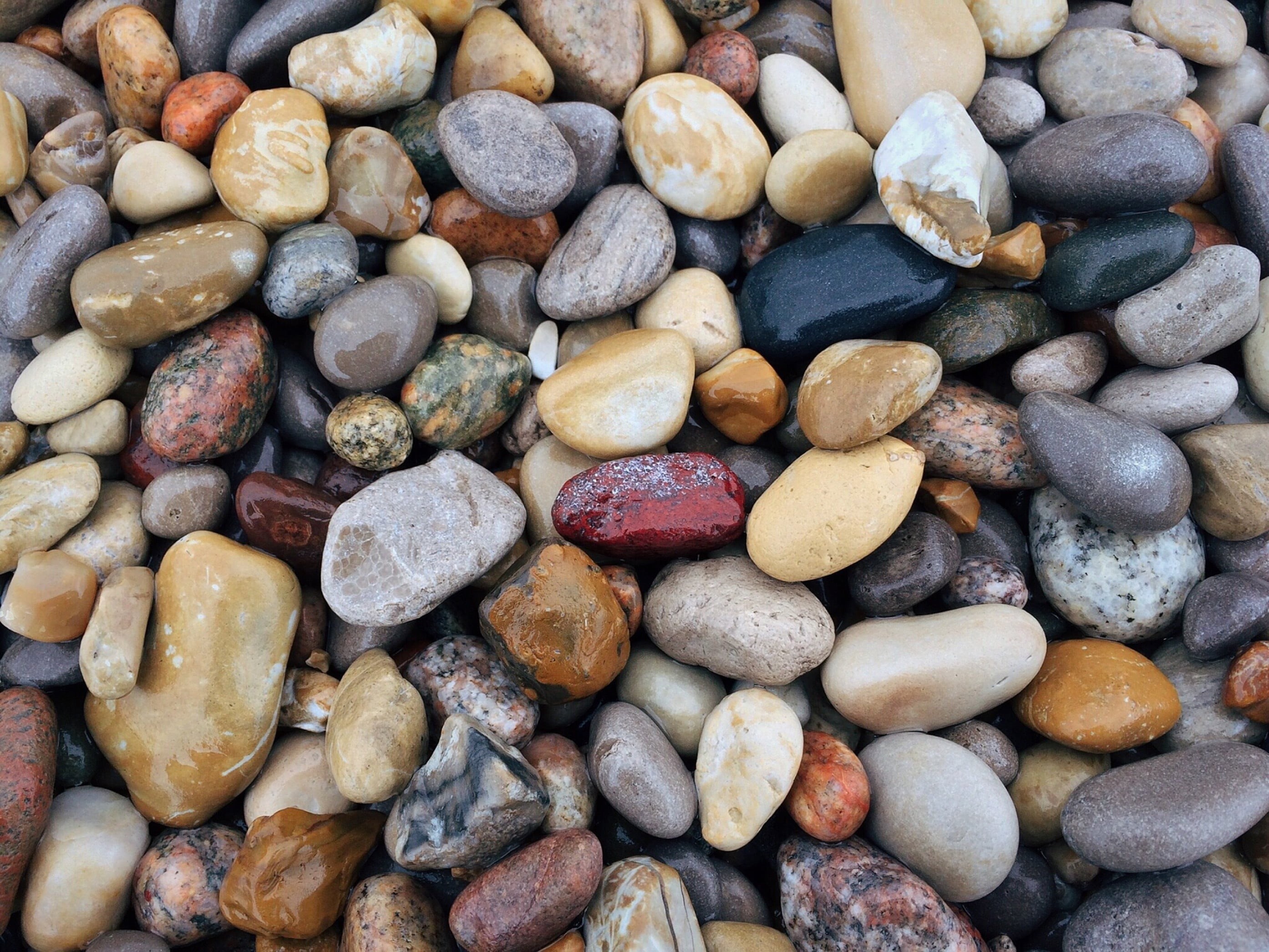 rocks, rock, variation, beach, backgrounds, large group of objects, bunch, 2K, solid, pebble, color, close-up, no people, land, shore, textured, rock - object, HD Wallpaper
