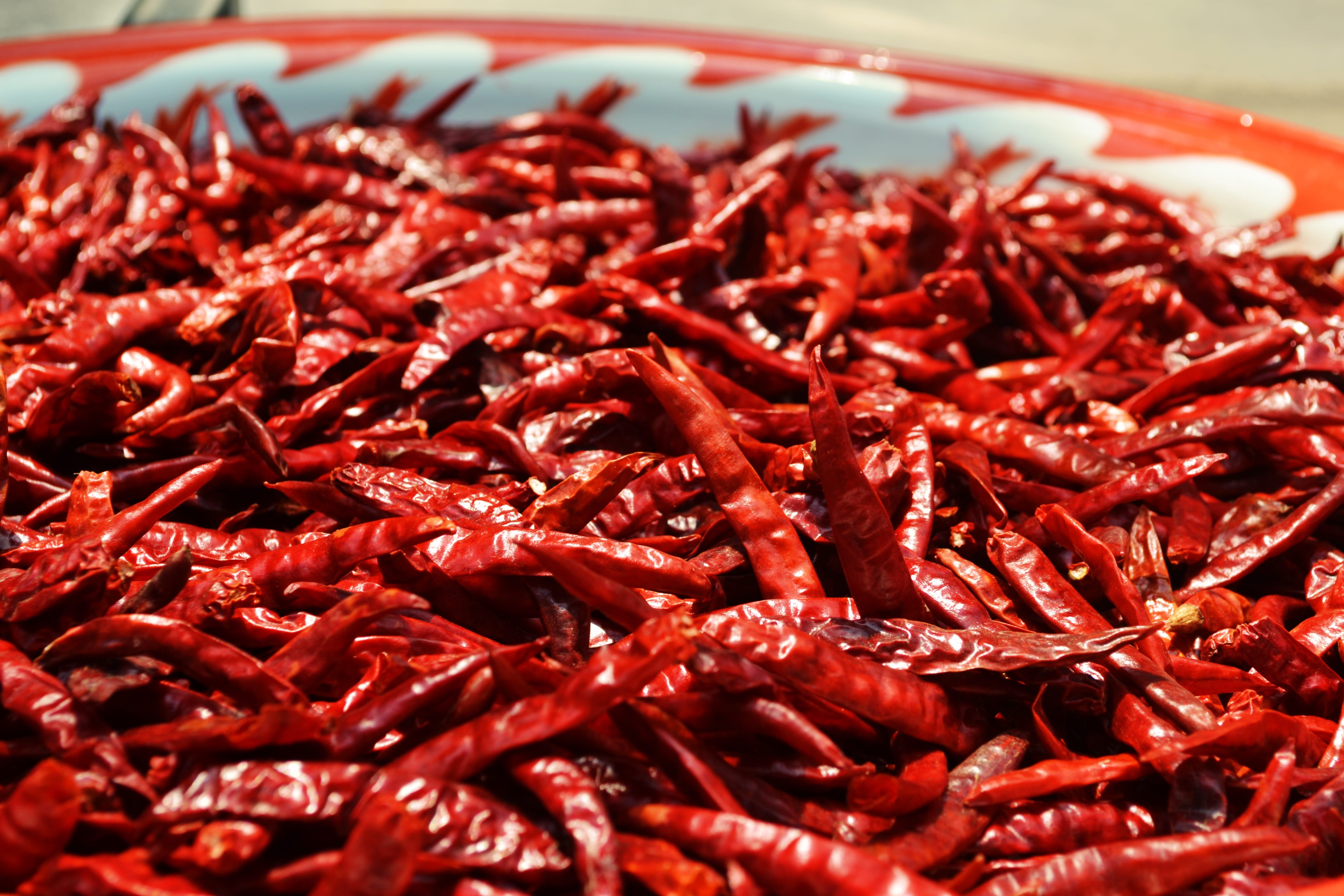 spice, red chili, freshness, organic, chili, red, food and drink, indoors, spicy, selective focus, chilis, red chili pepper, dried food, 4K, wellbeing, HD Wallpaper