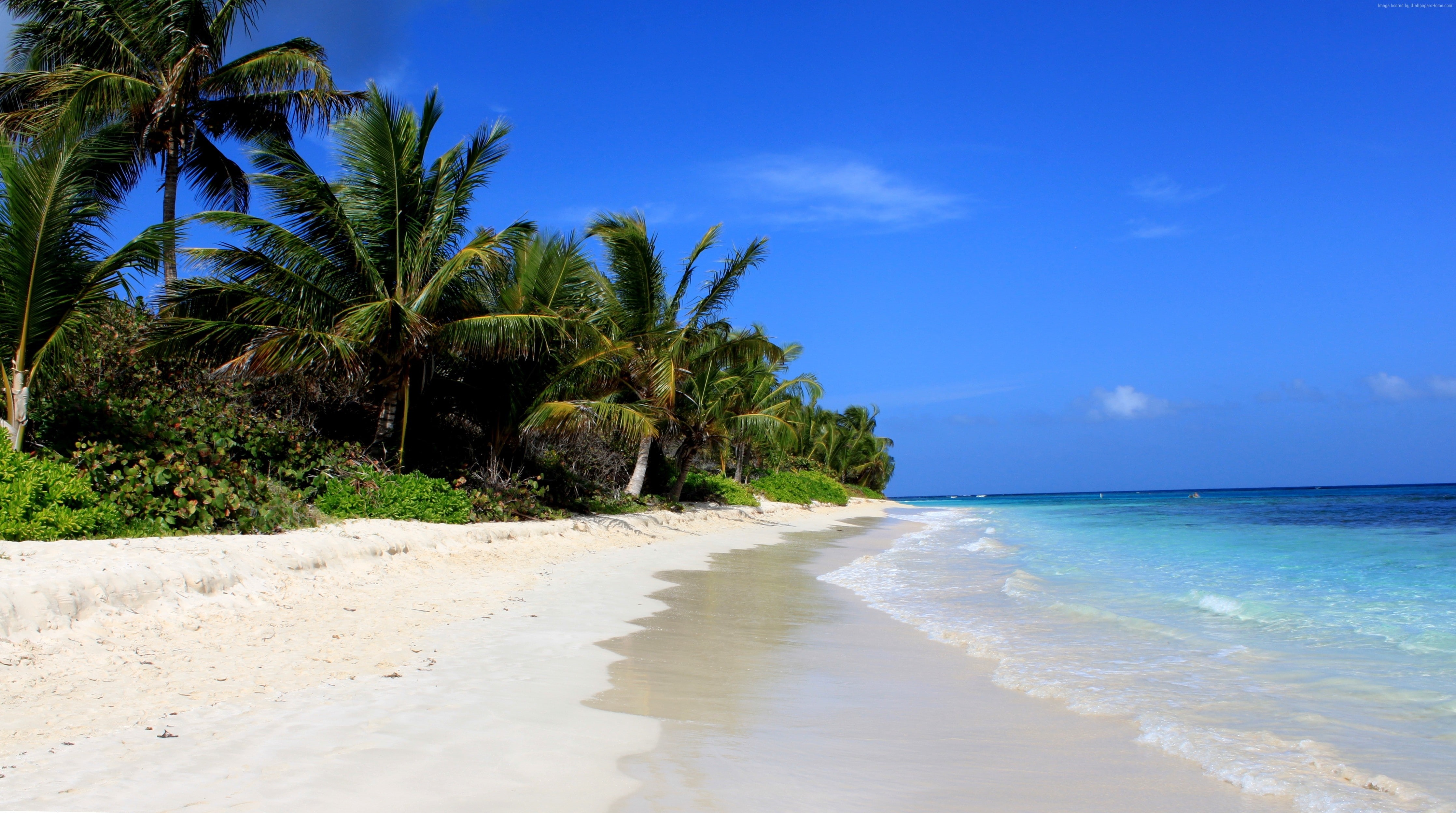 palms, 4K, Puerto Rico, Travellers Choice Awards 2016, Flamenco Beach, Best beaches of 2016, Culebra, HD Wallpaper