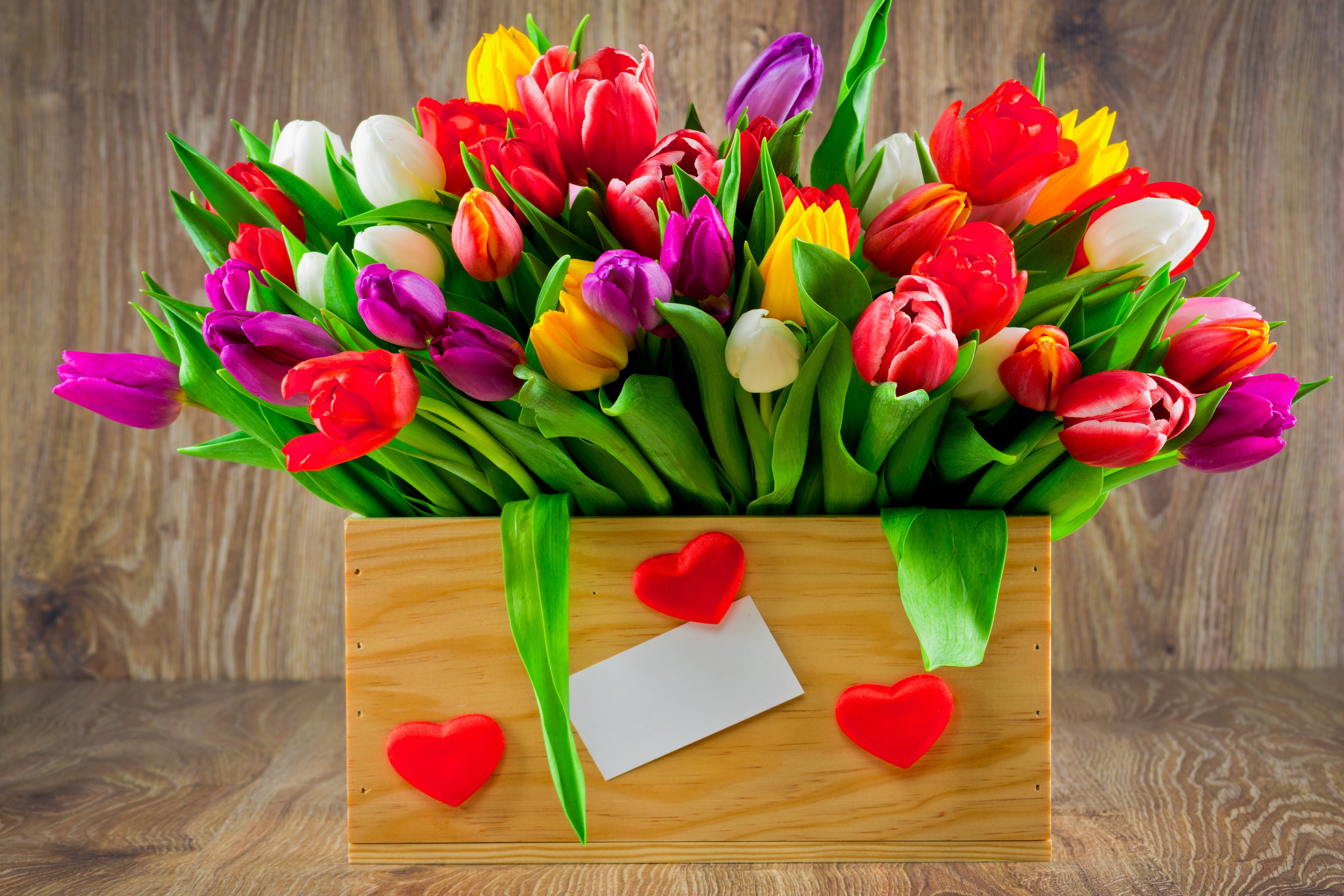 colorful, inflorescence, purple, table, fresh, red, pink color, flower arrangement, nature, flower head, bouquet, tulips, tulip, close-up, vulnerability, HD Wallpaper
