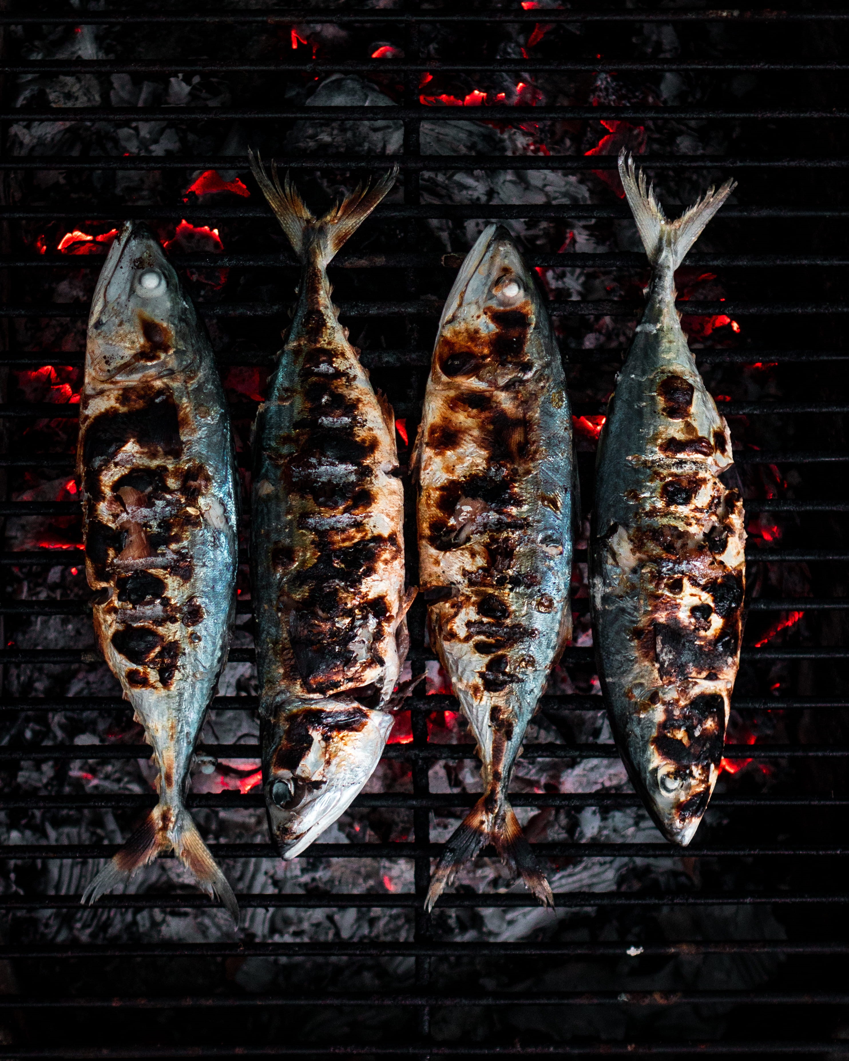 wellbeing, side by side, trout, directly above, sea life, sardine, starfish, grilled, bonito, meat, mullet fish, vertebrate, fish, water, preparing food, Phone HD Wallpaper