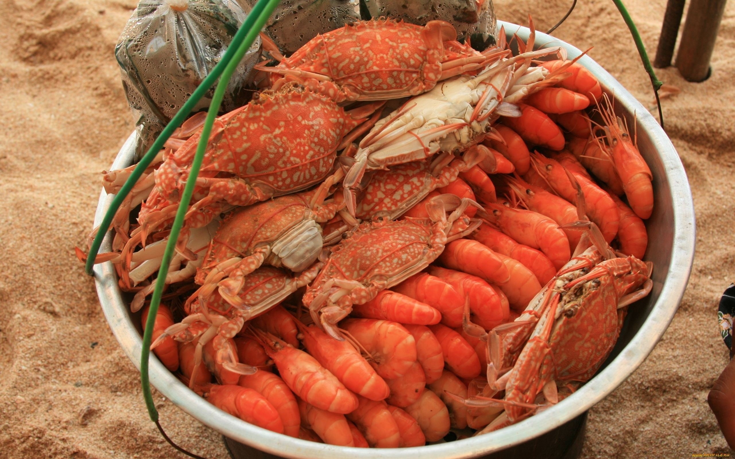 wellbeing, container, seafood, shrimp - seafood, crustacean, still life, high angle view, sea, 2K, large group of objects, for sale, animal, food, foods, HD Wallpaper