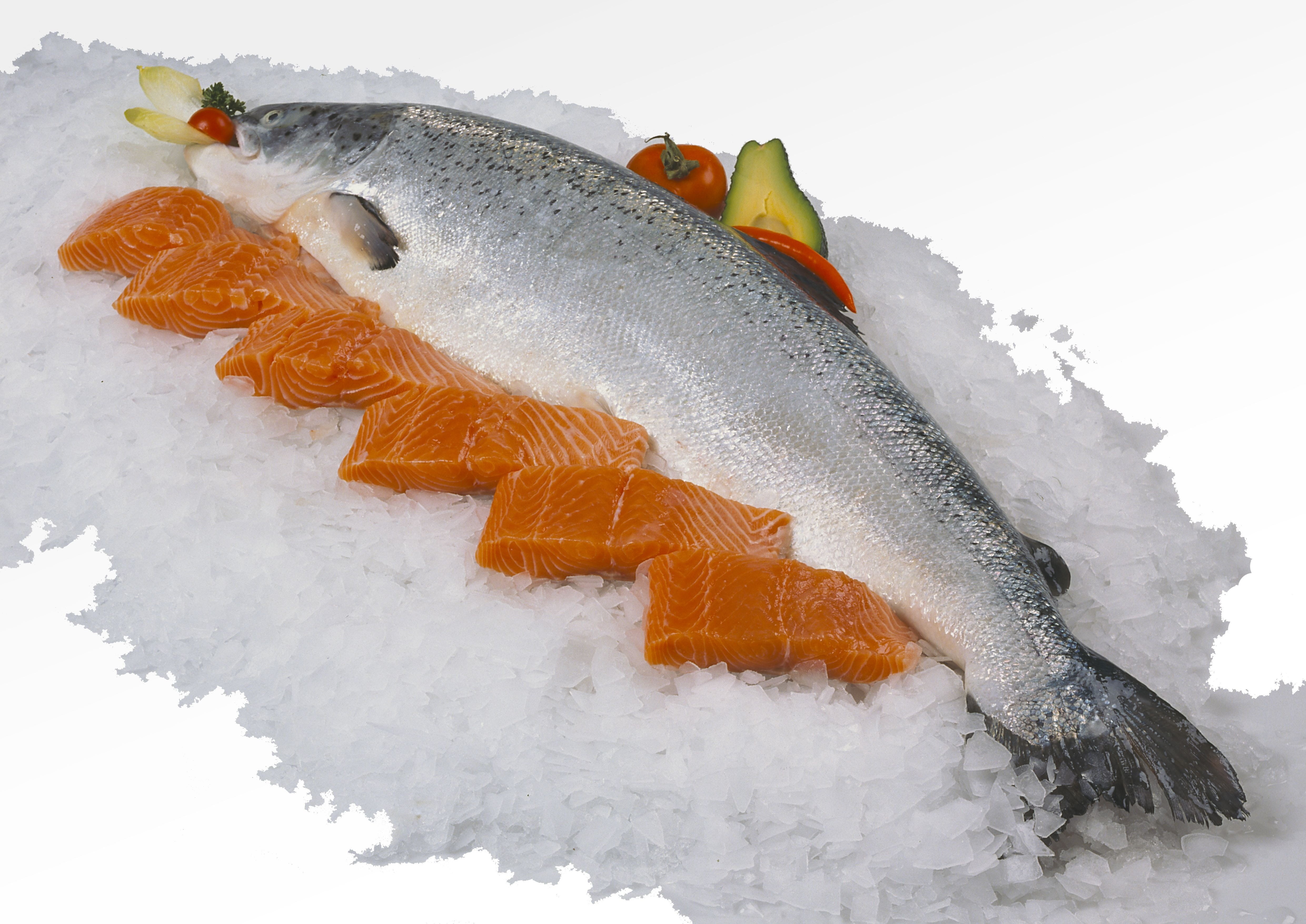 sea, crushed ice, ice, nature, freshness, snow, food, marine, healthy eating, vertebrate, 4K, fish, animal, salmon, no people, cold temperature, food and drink, HD Wallpaper