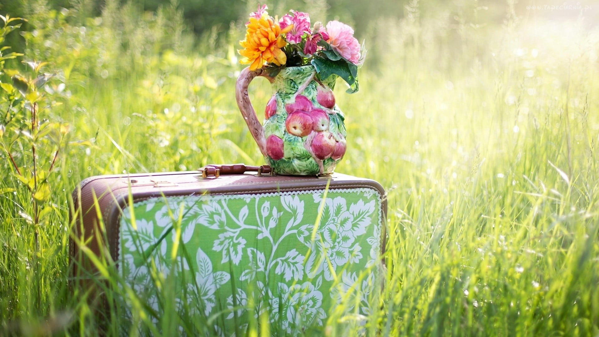 nature, 1080P, grass, blossom, outdoors, summer, garden, flowering plant, freshness, botany, field, bloom, fresh, flower arrangement, beauty in nature, HD Wallpaper