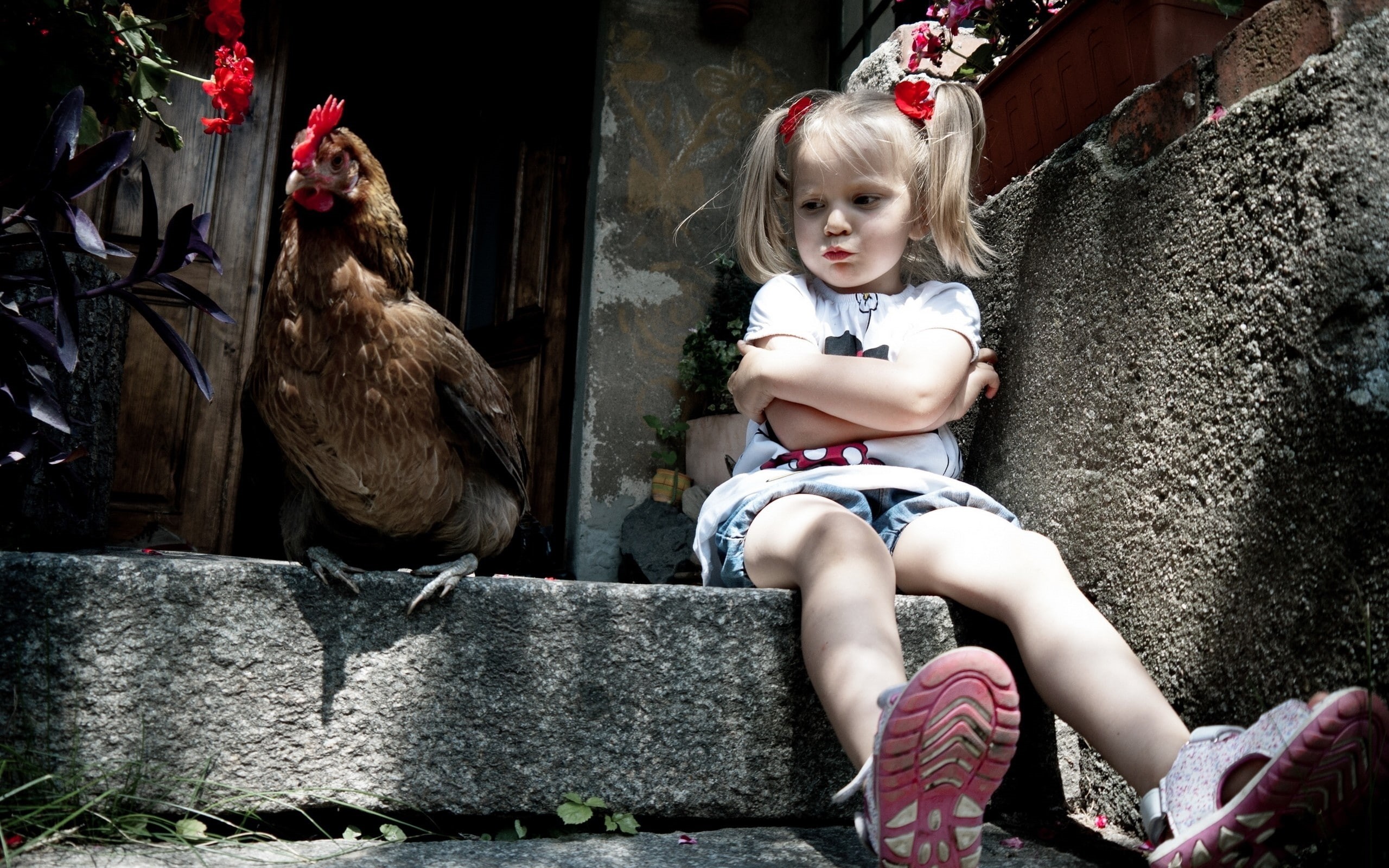 s, Chicken, girl, white, cute girl, little, shirt, t, 2K, brown, little girl, HD Wallpaper