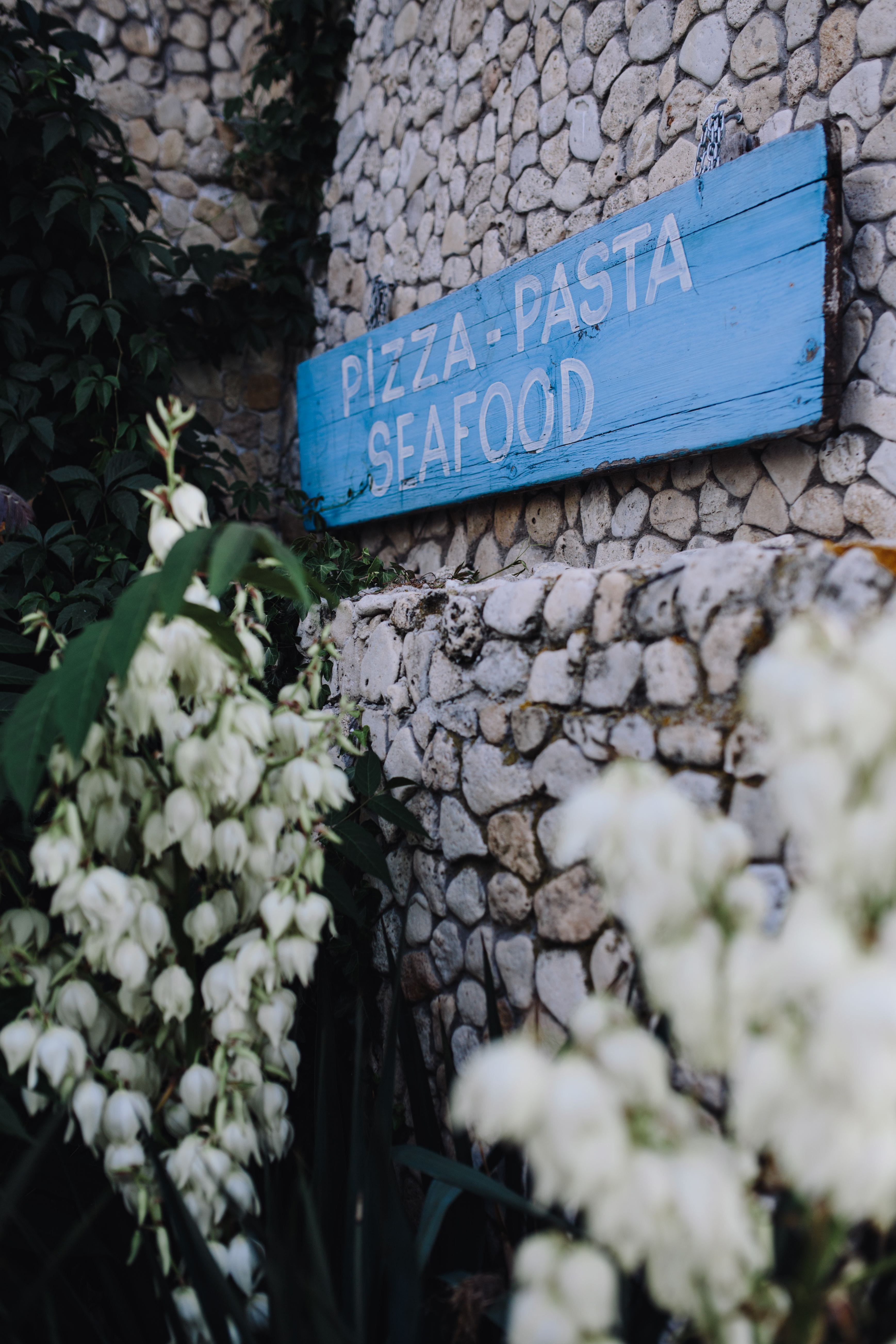 growth, western script, meal, no people, stone wall, day, close-up, food, wall, text, blue, information, bulgaria, dish, nature, solid, outdoors, seafood, Phone HD Wallpaper