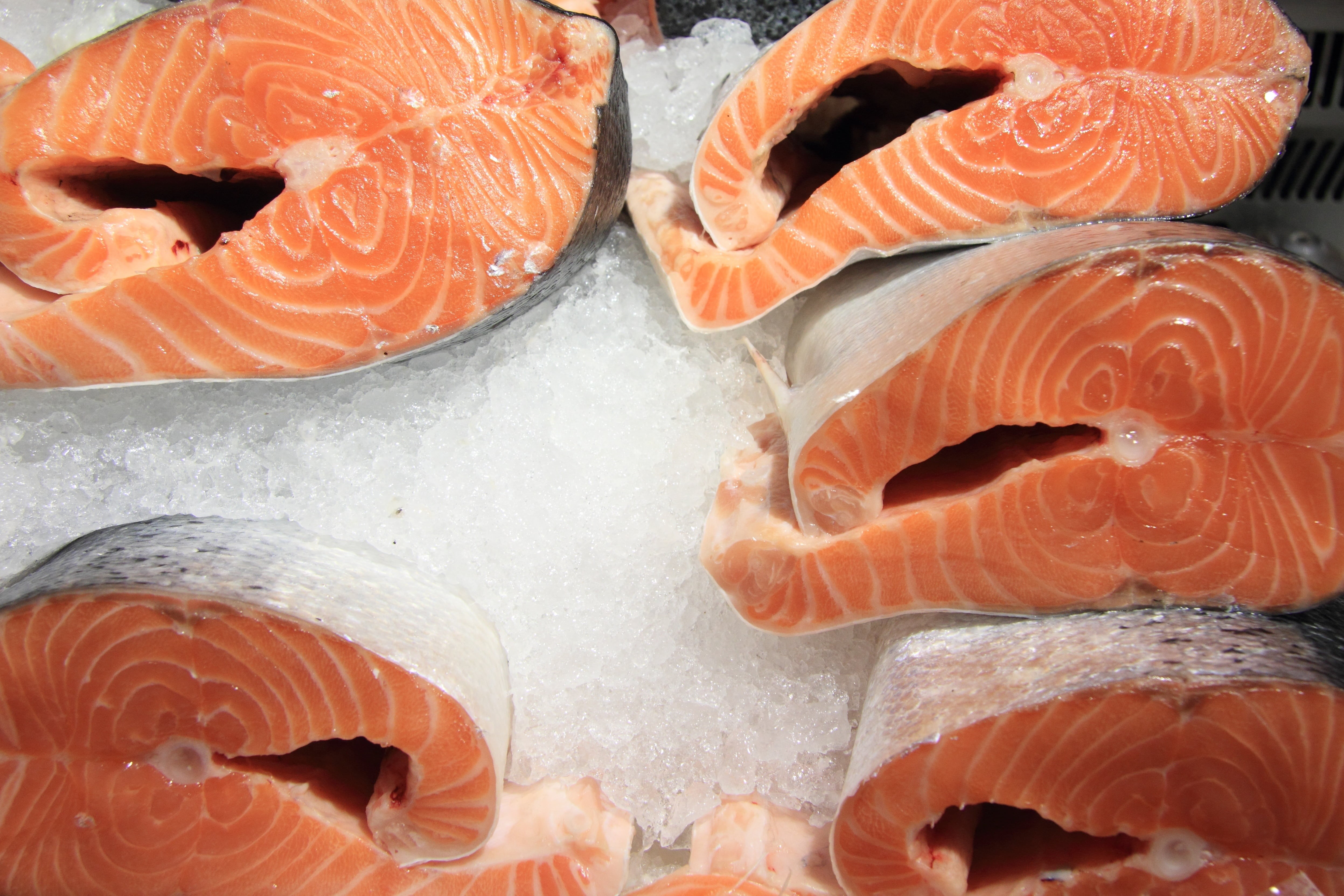 retail, healthy eating, animal, order, riga, food and drink, raw food, meat, vertebrate, freshness, sliced, fresh, ice, salmon, no people, consumerism, HD Wallpaper
