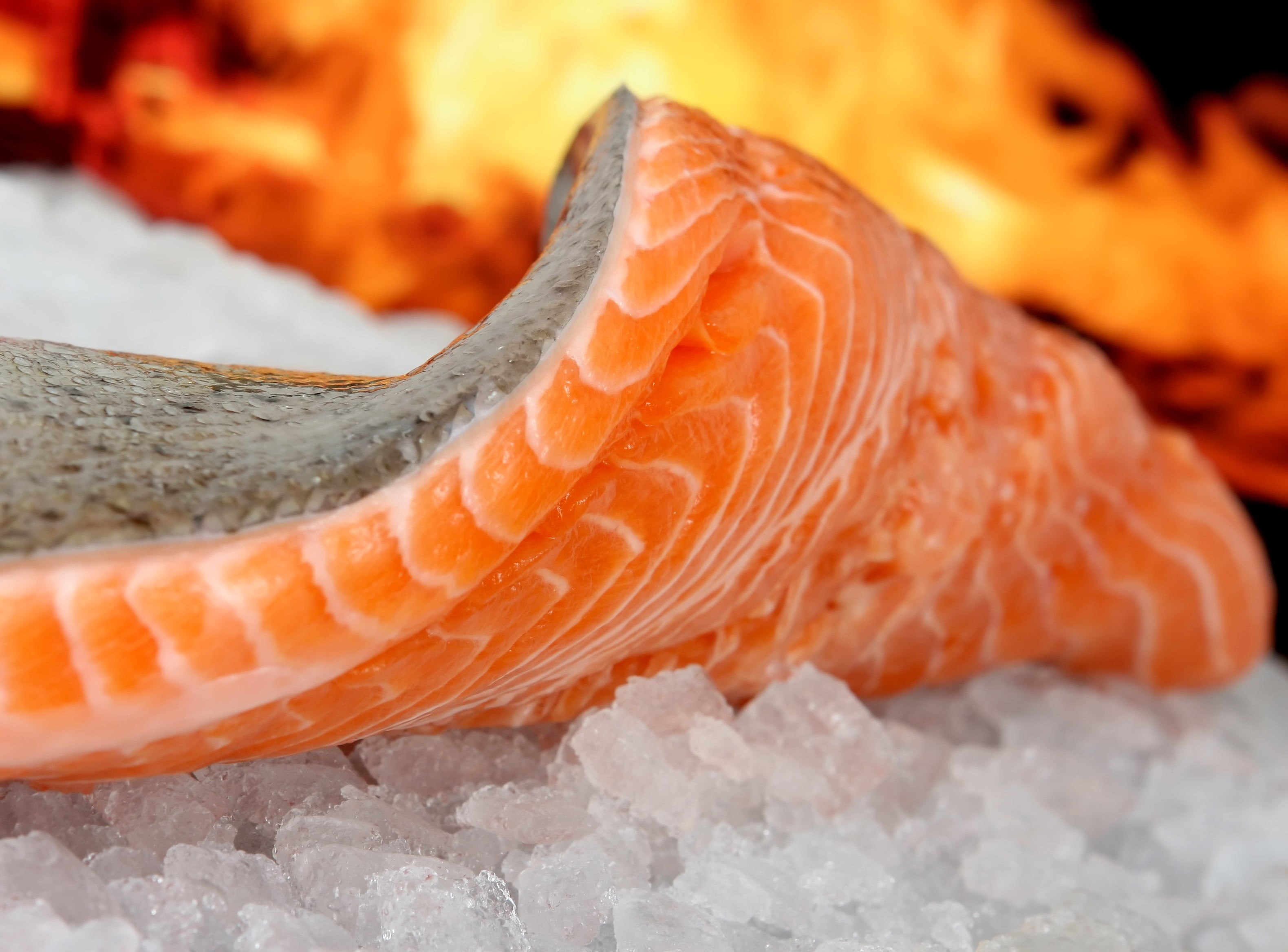 animal wildlife, wine, sea, raw Food, cold, oil, healthy eating, animal themes, bbq, beach, skate, photography, ice, fresh, fire - natural phenomenon, fishmonger, HD Wallpaper