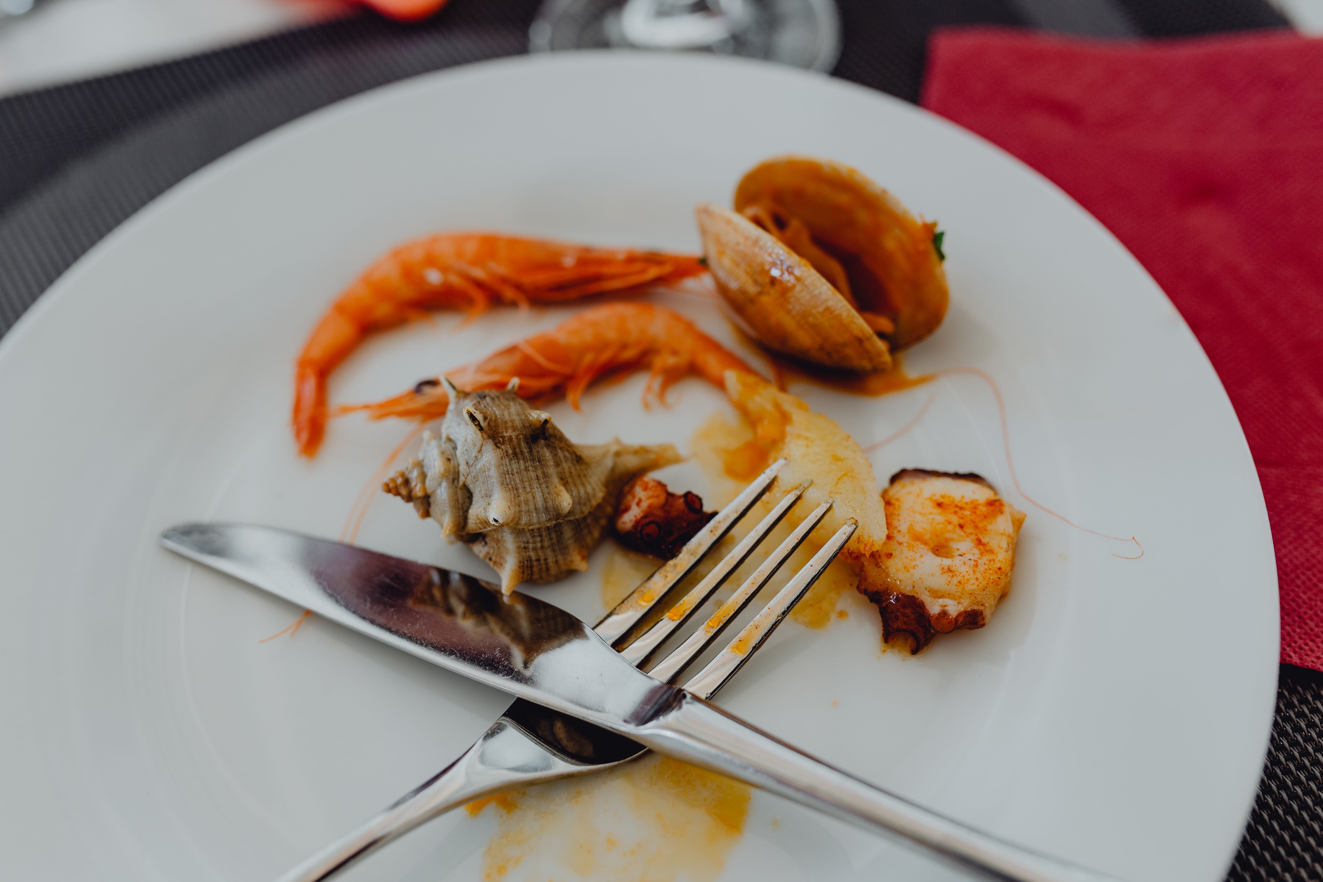calamari, shrimps, contain, lunch, seafood, wellbeing, mixed, crabs, plate, close-up, still life, grilled, food and drink, temptation, indulgence, 5K, HD Wallpaper