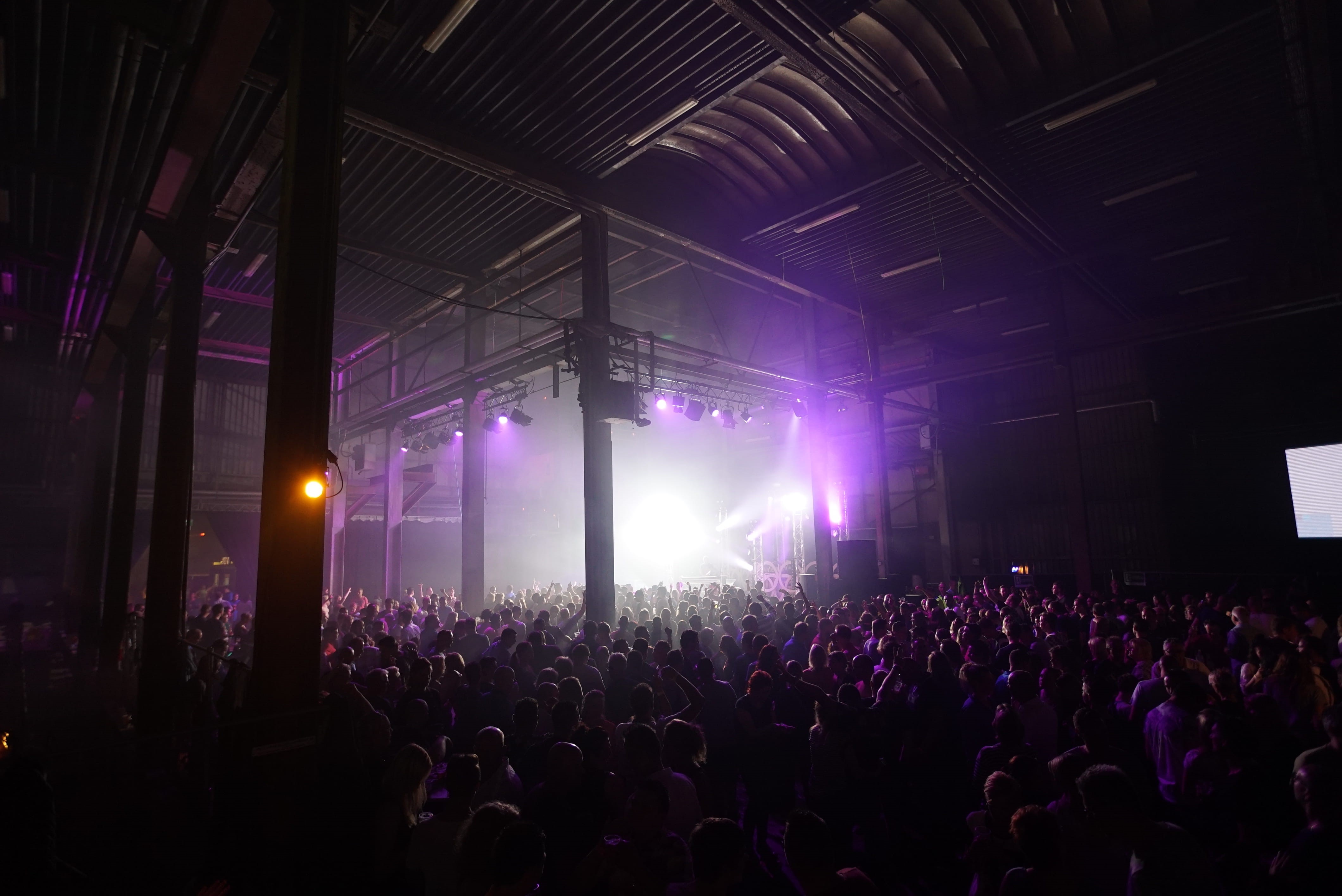 people, group of people, light, music festival, stage light, disco, real people, club, large group of people, stage, party, popular music concert, event, HD Wallpaper