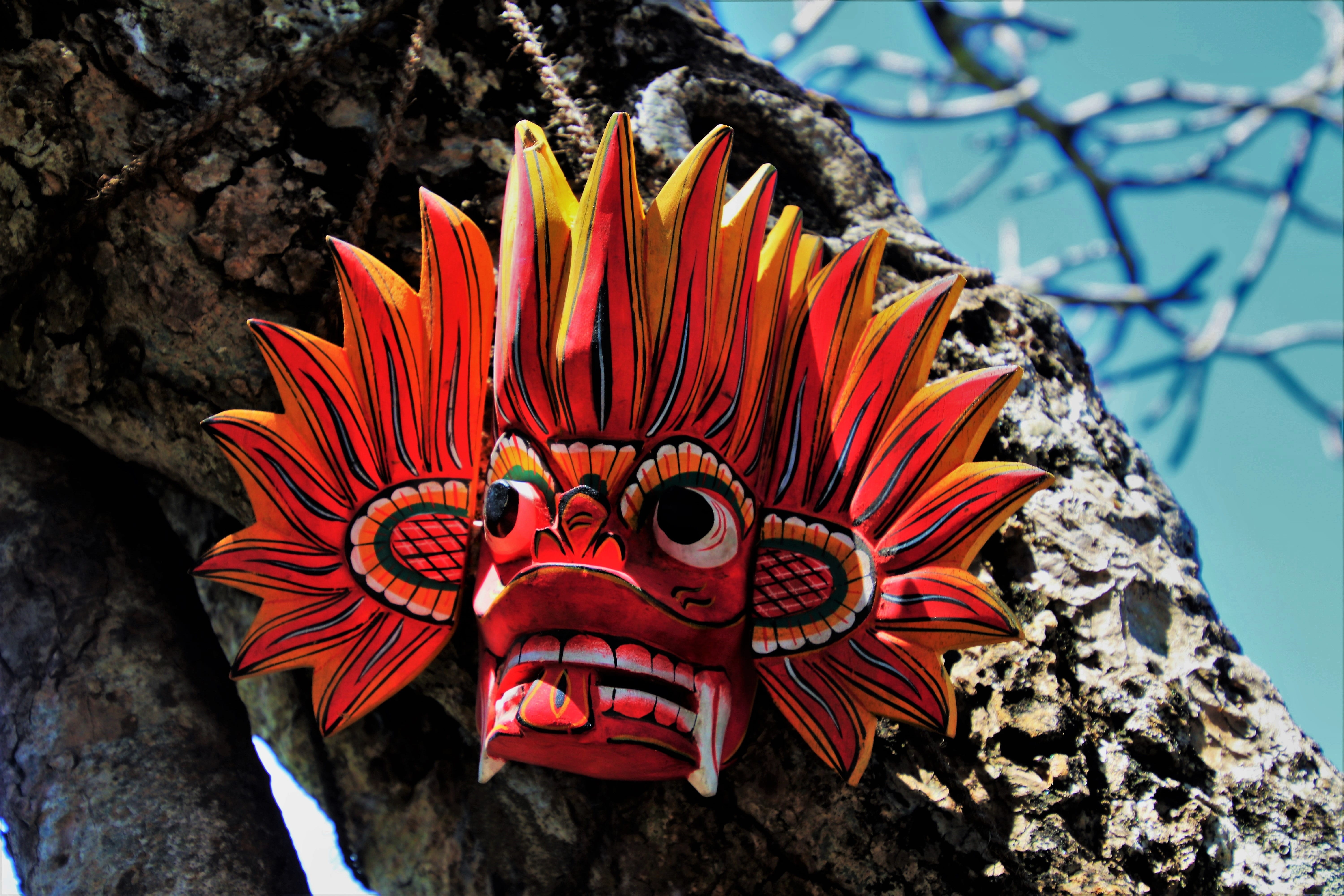 plant, creativity, red, the sun, outdoors, mask, focus on foreground, sri lanka, rock, garden, representation, the style of the country, terrible, beauty in nature, HD Wallpaper
