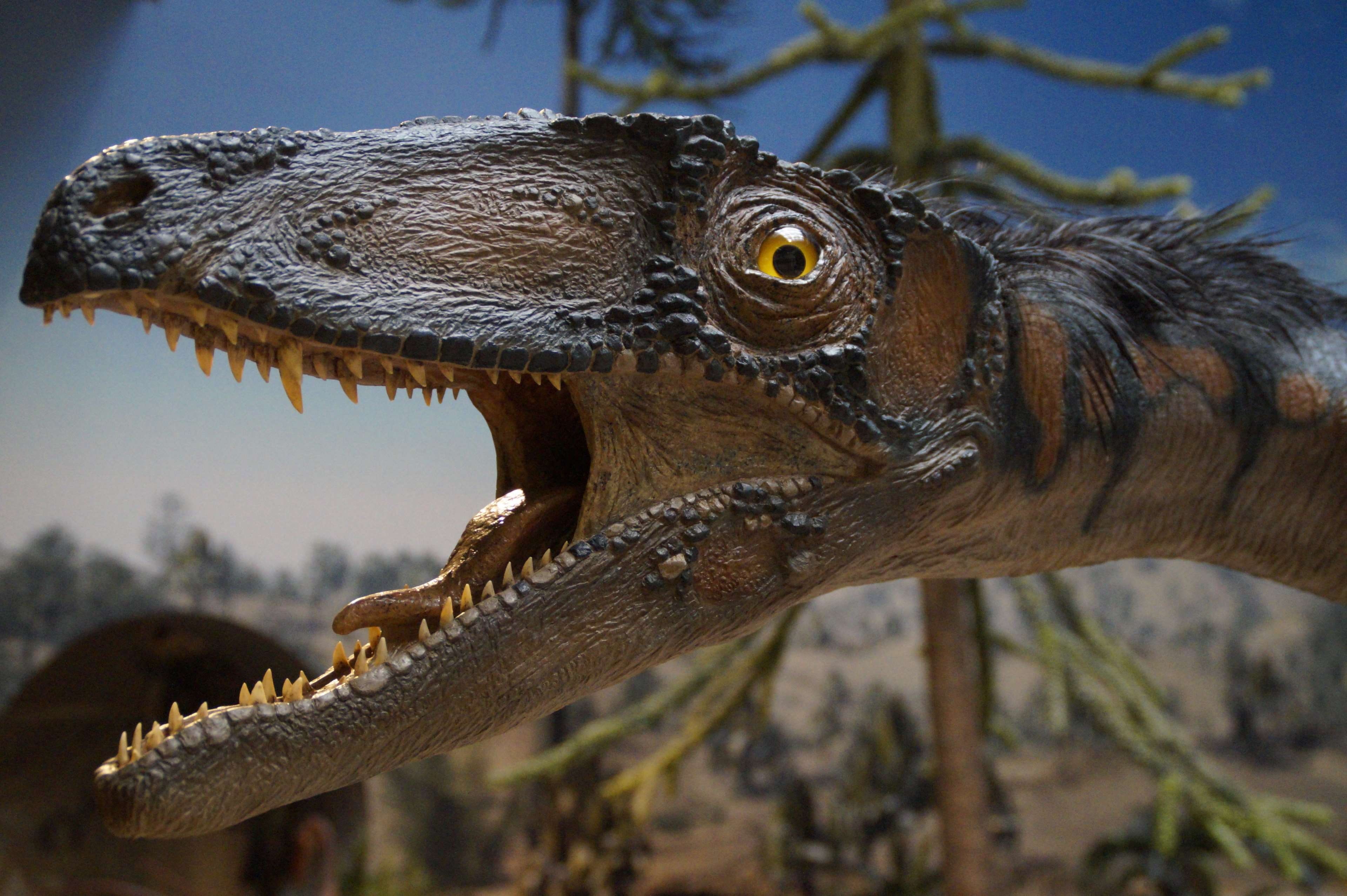 animal head, wild, focus on foreground, day, animal mouth, animal representation, mouth open, outdoors, replica, vertebrate, wood, nature, creepy, one animal, HD Wallpaper