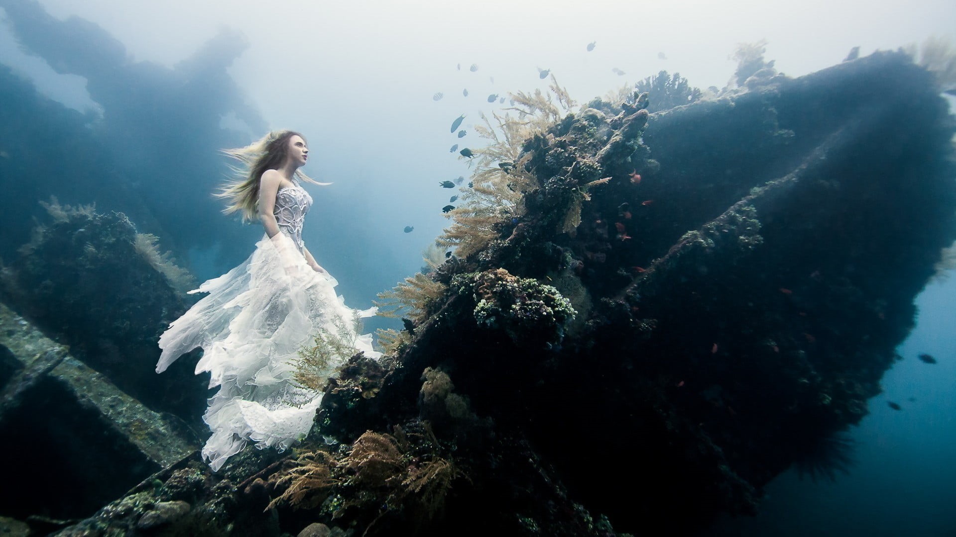 long hair, water, 1080P, looking, women outdoors, young women, sea, animals in the wild, one person, underwater, animal wildlife, women, fish, gown, coral, HD Wallpaper