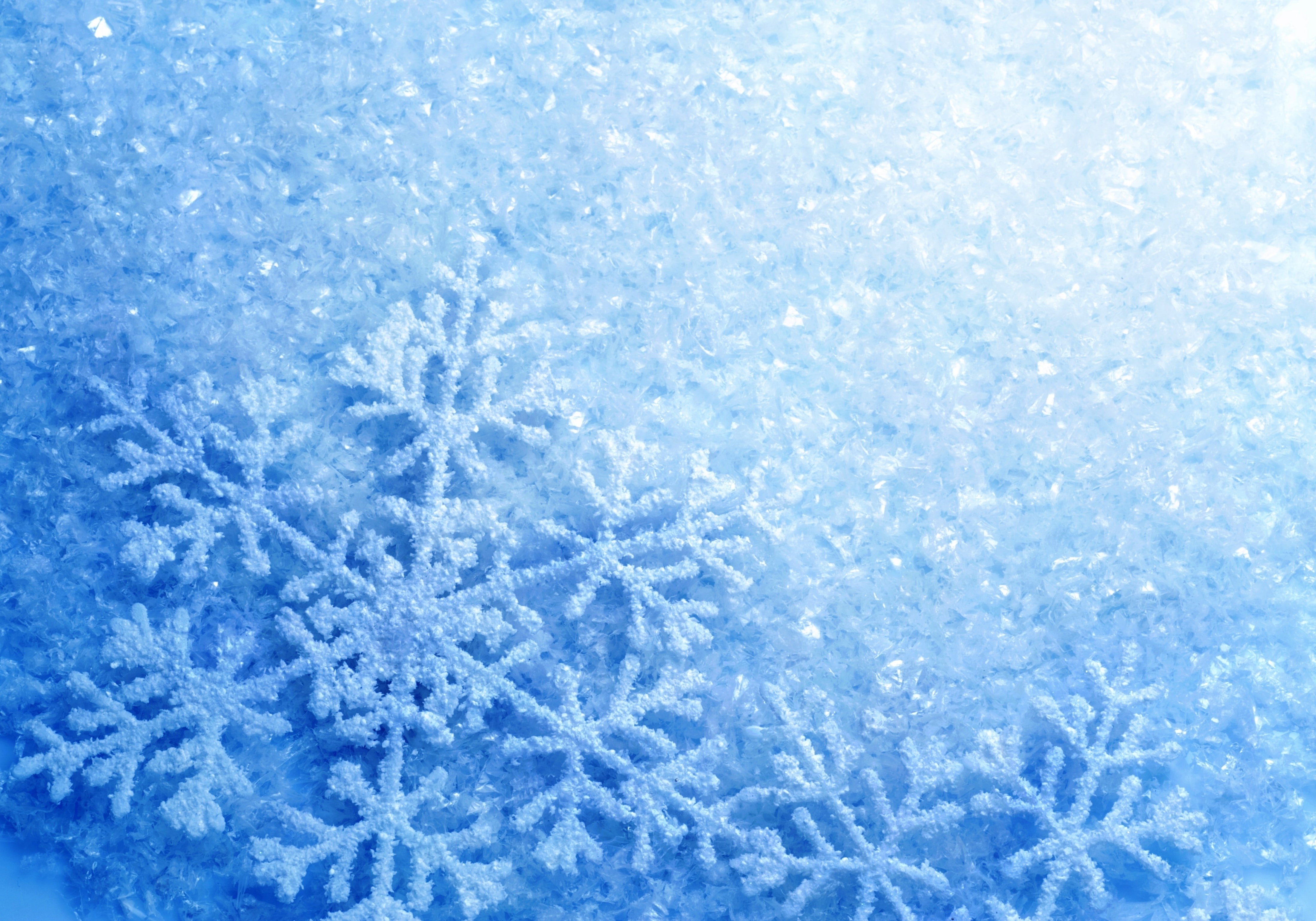 snowflakes, cold, winter, frost, glitter, ice, 4K, HD Wallpaper