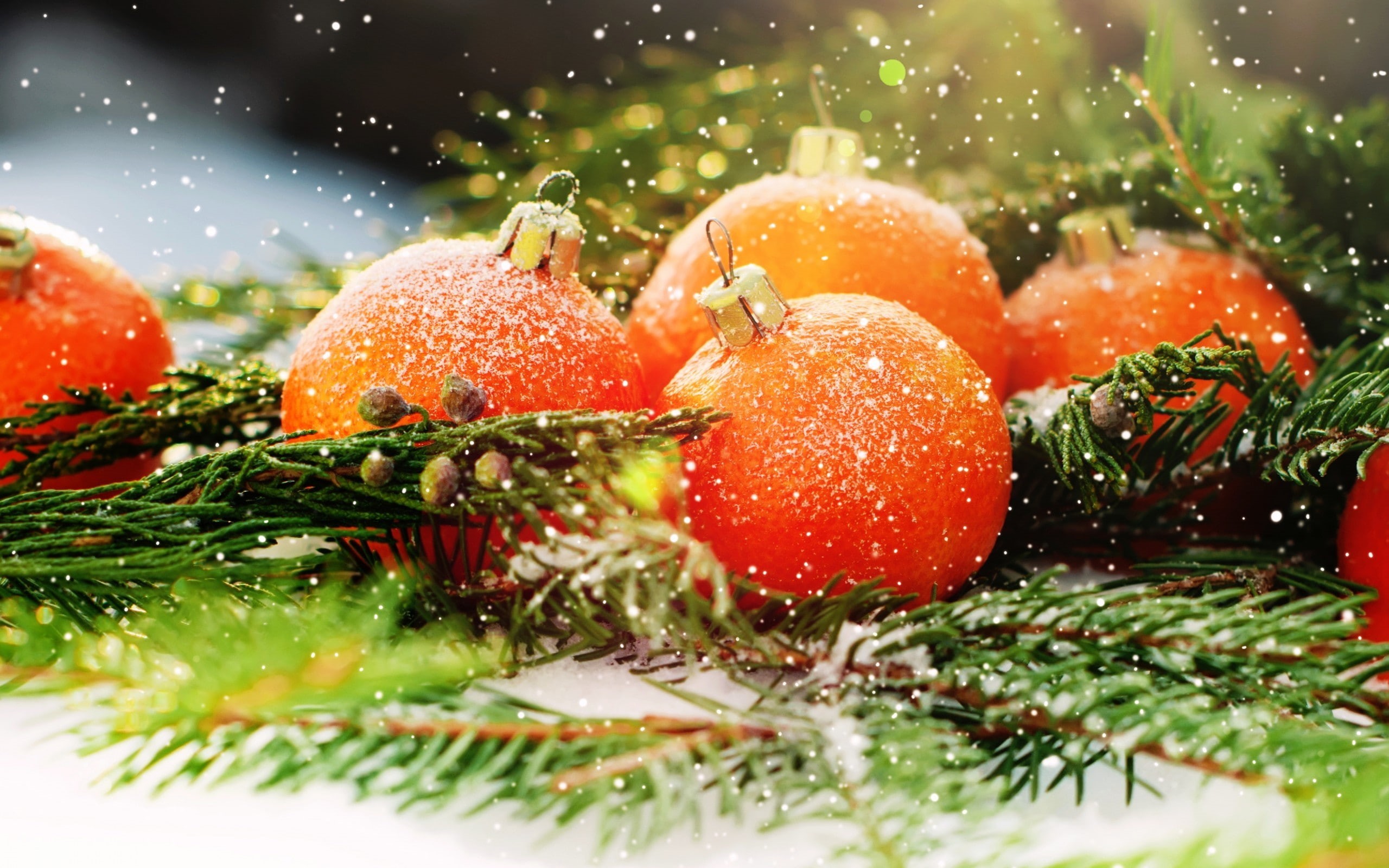 holiday, no people, drop, baubles, leaves, snowing, nature, orange, winter, food and drink, snow, fruit, christmas, red, cold temperature, Christmas ornaments, HD Wallpaper