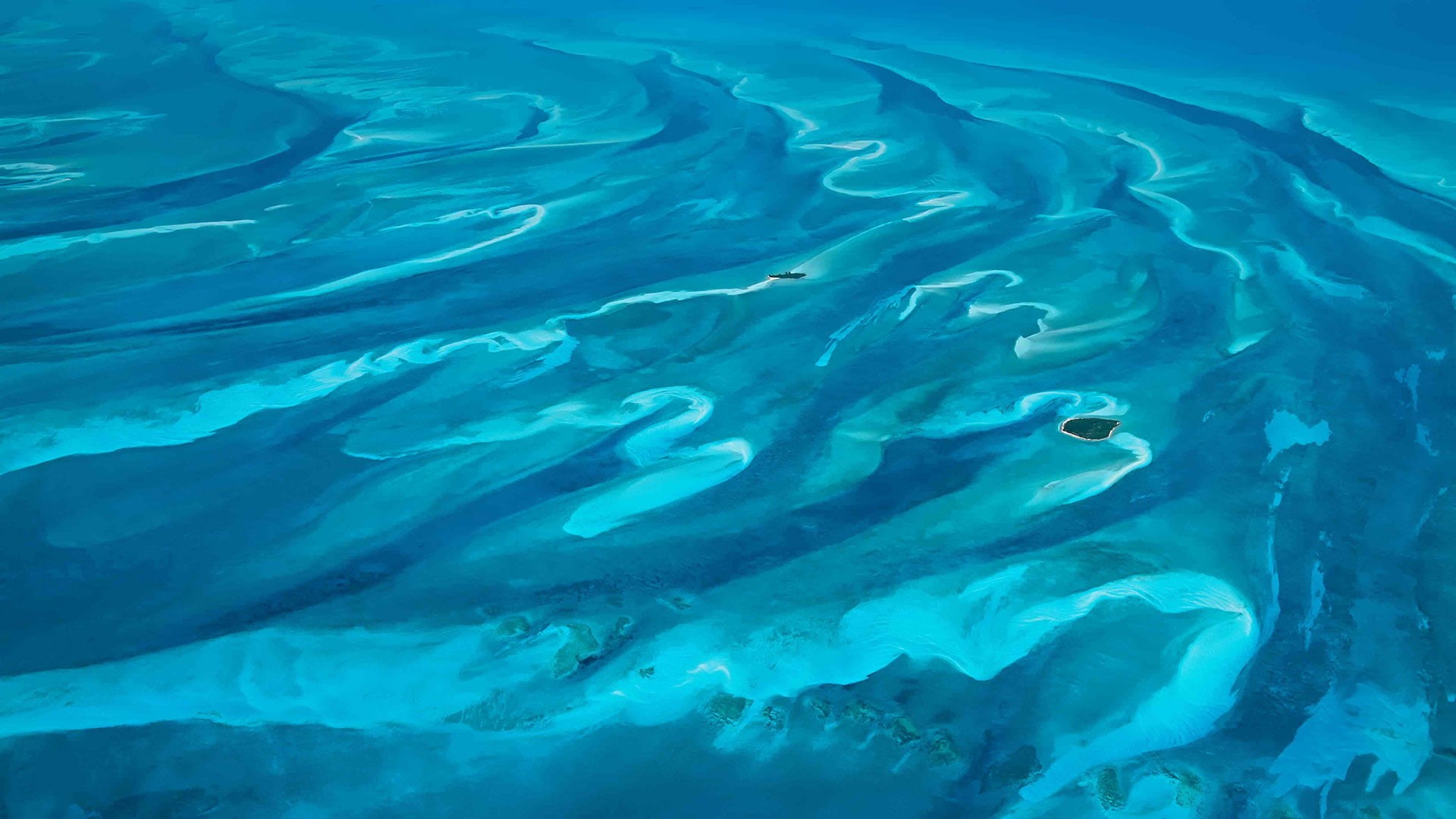 exotic, vertebrate, nature, undersea, turquoise colored, animal wildlife, large group of animals, color, bubbles, egypt, saltwater fish, aquatic, motion, HD Wallpaper