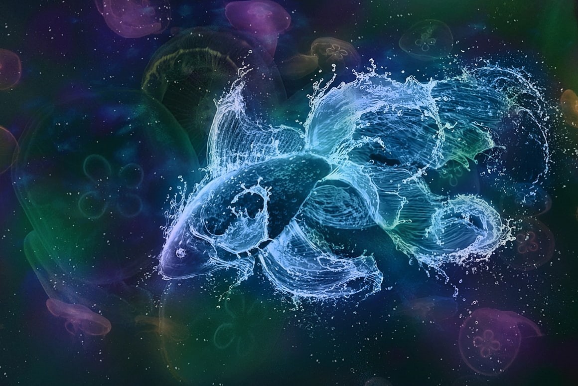 day, fish, backgrounds, art and craft, nature, digital composite, transparent, animal, abstract, vera orlova, blue, purple, summer, multi colored, Zodiac ~ Pisces, HD Wallpaper