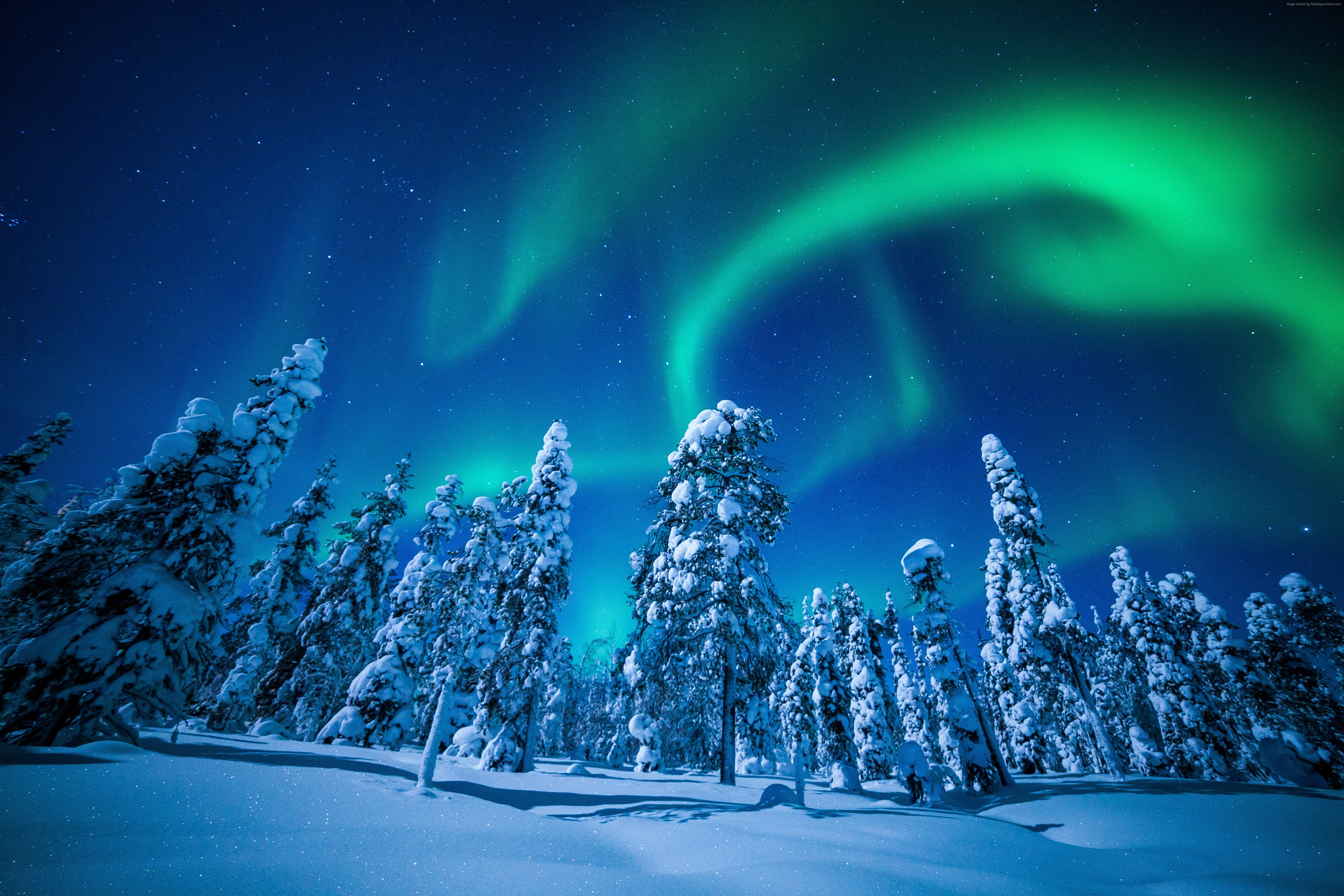 snowcapped mountain, Lapland, night, landscape, idyllic, plant, winter, environment, tranquility, snow, 5K, nature, Finland, cold temperature, tranquil scene, HD Wallpaper