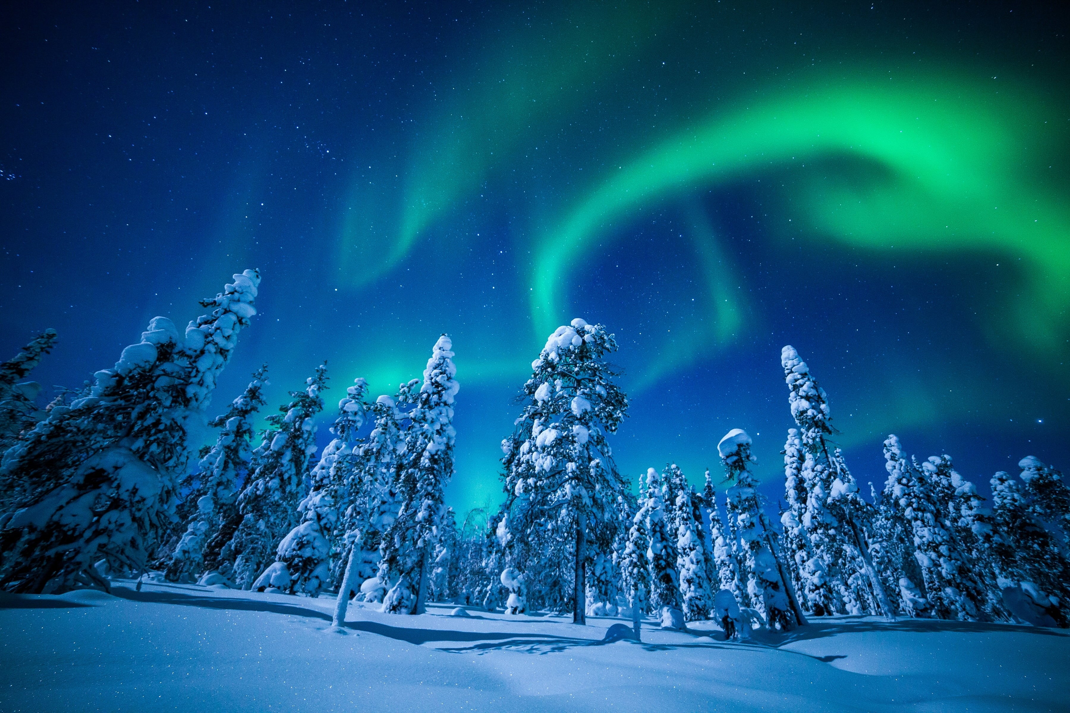illuminated, Finland, astronomy, light - Natural Phenomenon, constellation, 2K, scenics - nature, fir Tree, polar Climate, tree, nature, forest, tranquility, HD Wallpaper