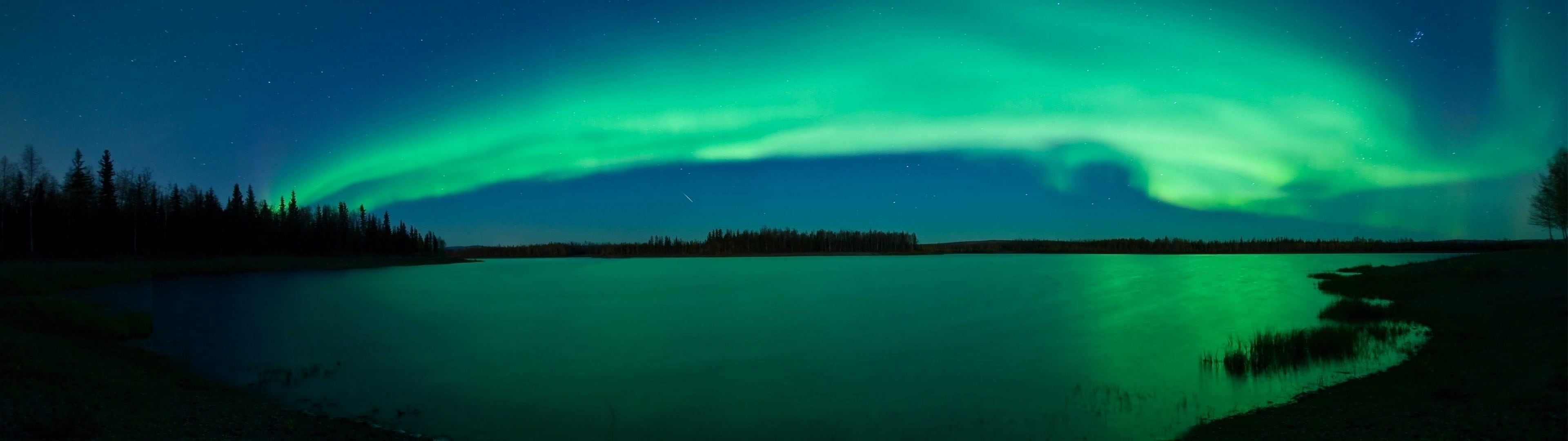 green color, natural phenomenon, aurora  borealis, phenomenon, power in nature, aurorae, scenics - nature, astronomy, landscape, lake, trees, tranquility, HD Wallpaper