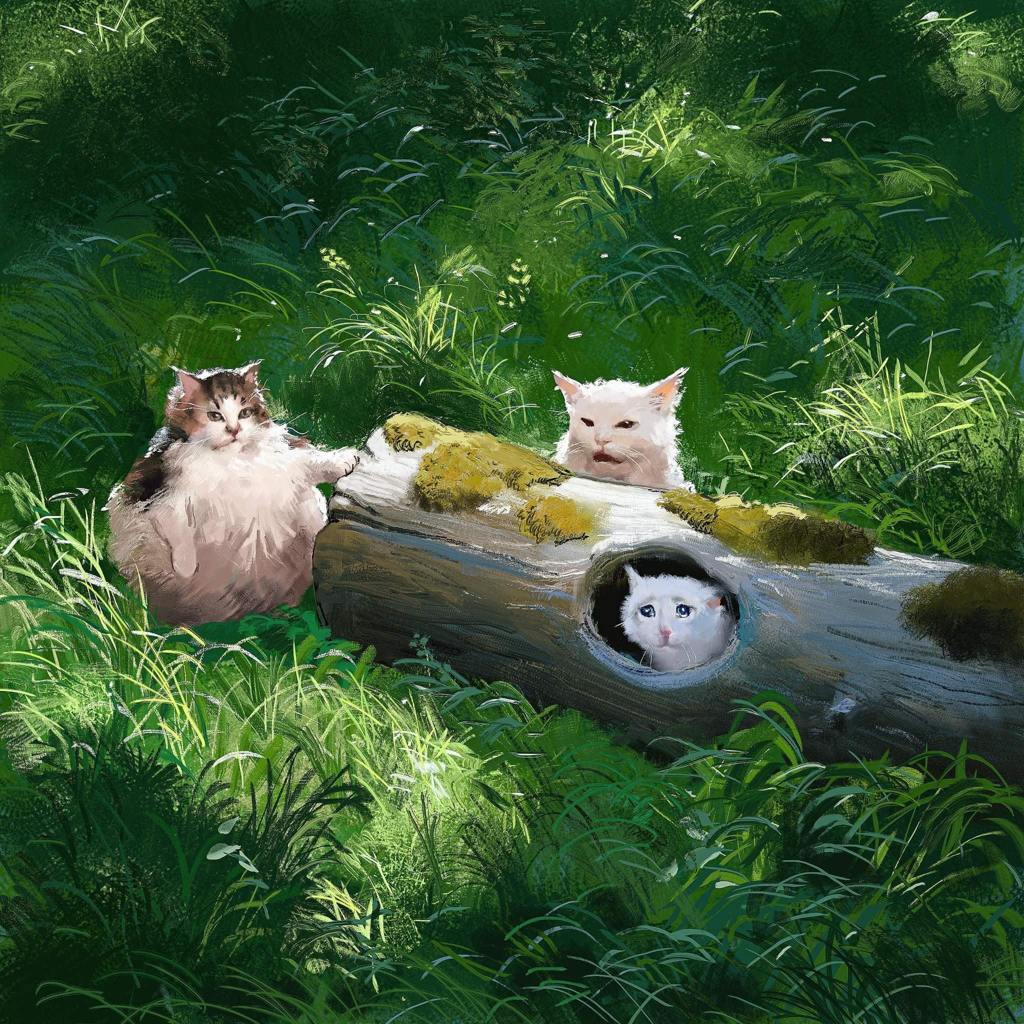 memes, 1080P, nature, trees, grass, humor, cats, Phone HD Wallpaper
