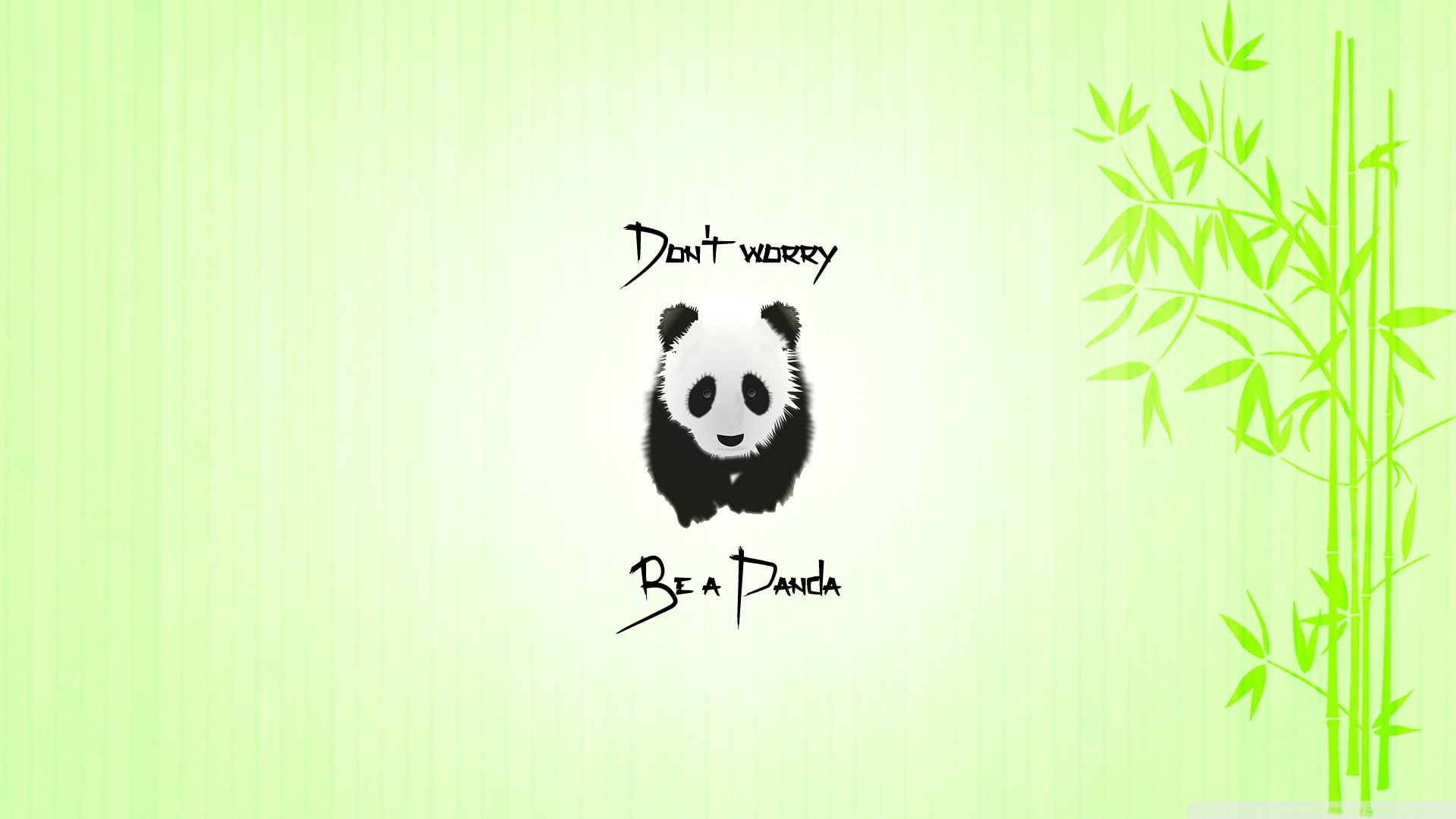 bamboo, quote, 1080P, animals, panda, HD Wallpaper
