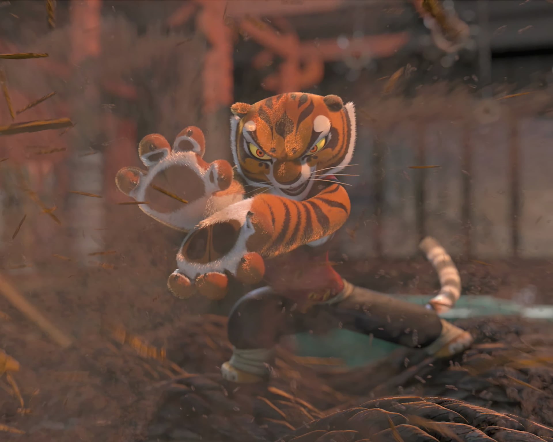 water, close-up, Tigress (Kung Fu Panda), animals in captivity, animal themes, animal wildlife, no people, focus on foreground, 1080P, selective focus, HD Wallpaper
